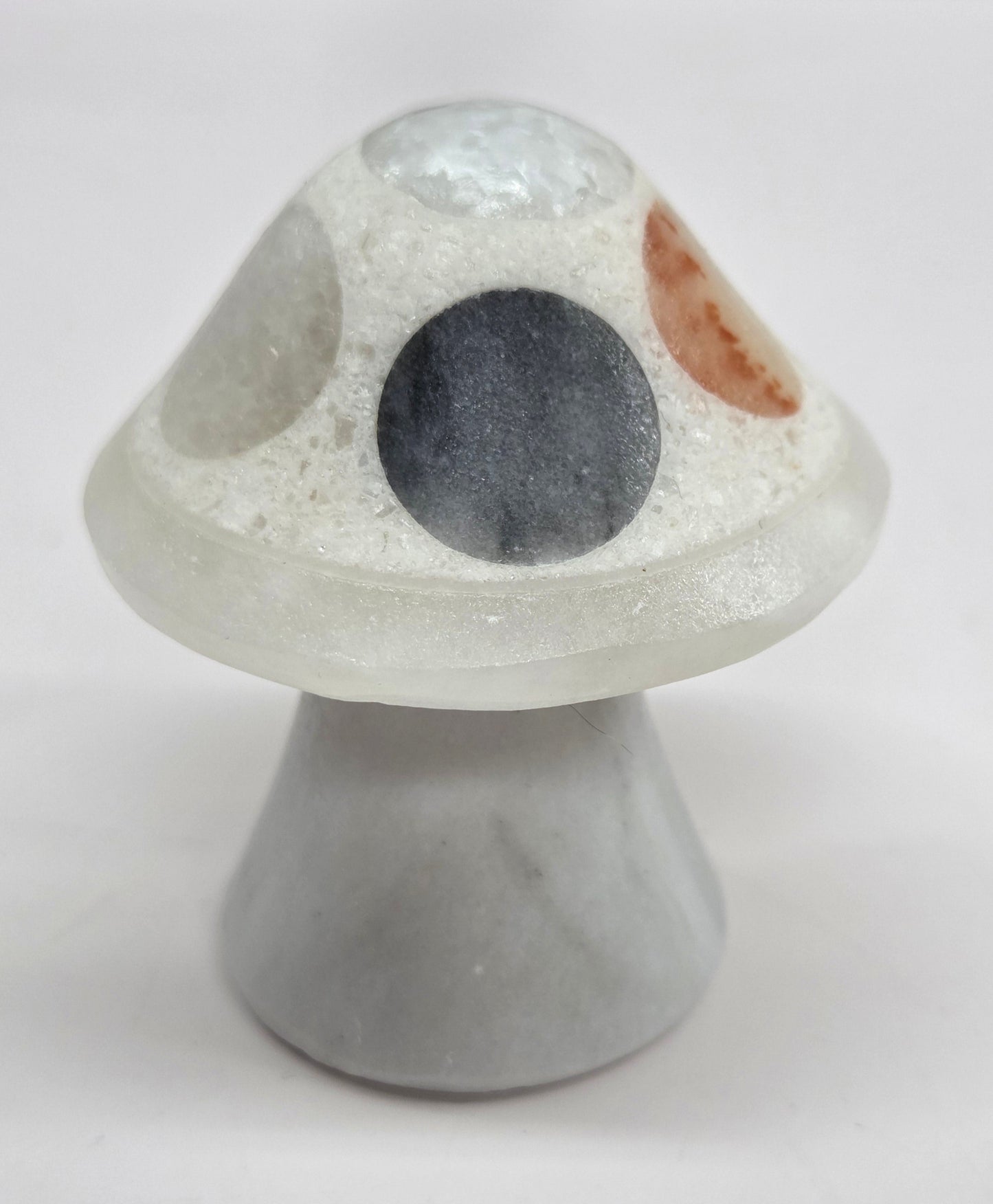 Mexican Onyx mushroom