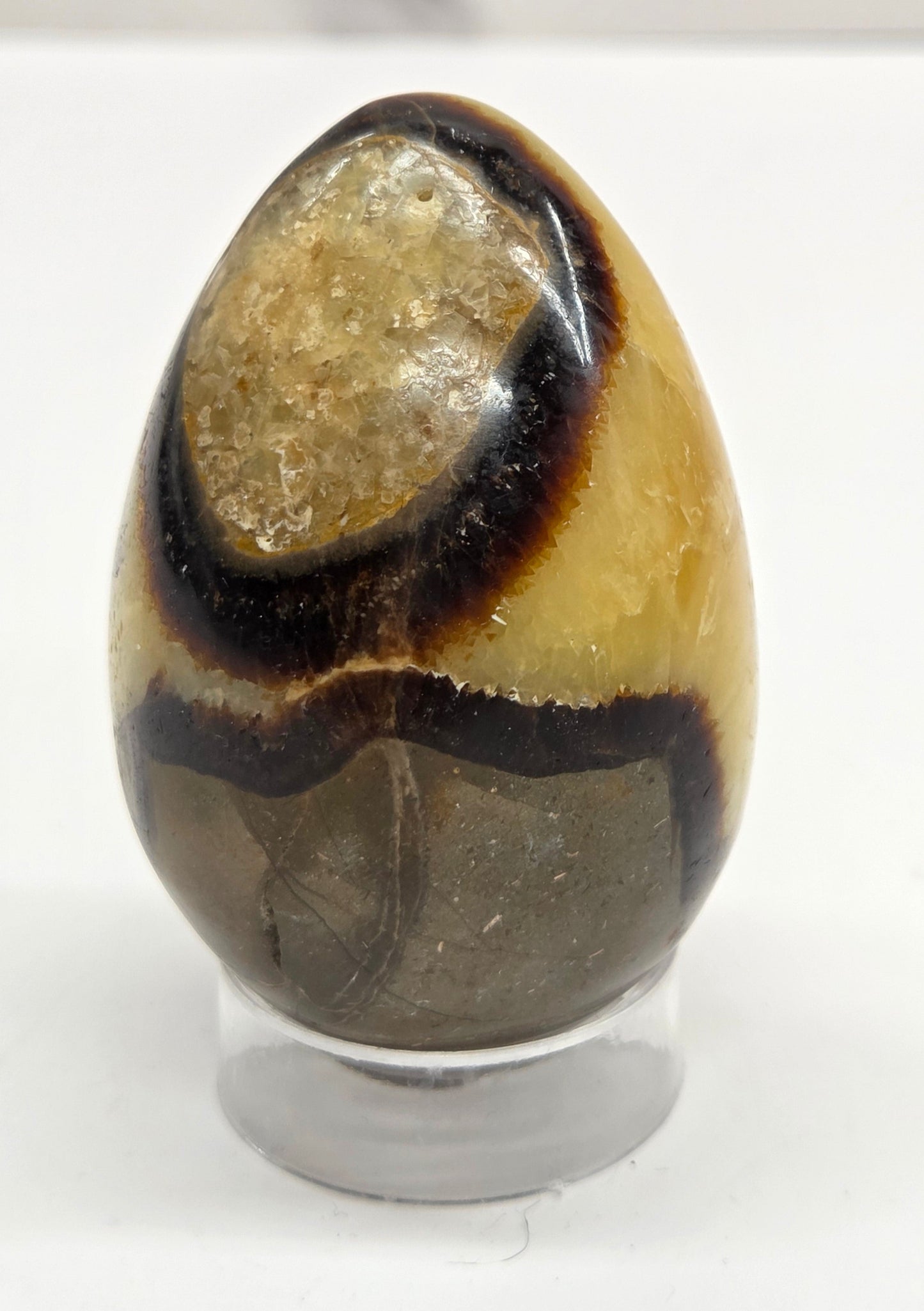 Septarian egg