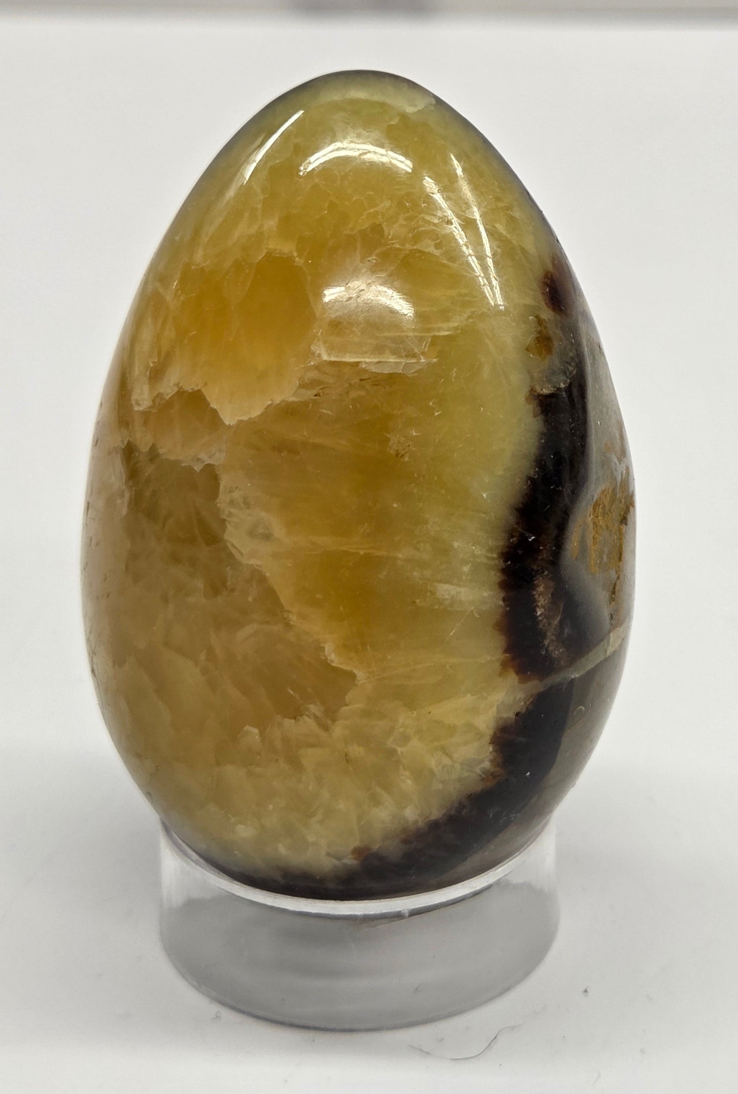 Septarian egg