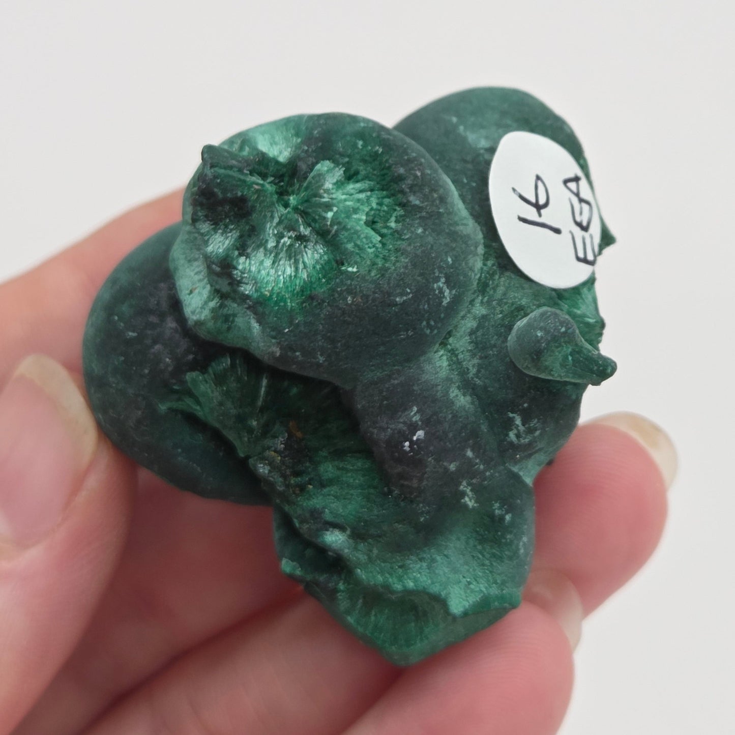 Velvet Malachite specimen