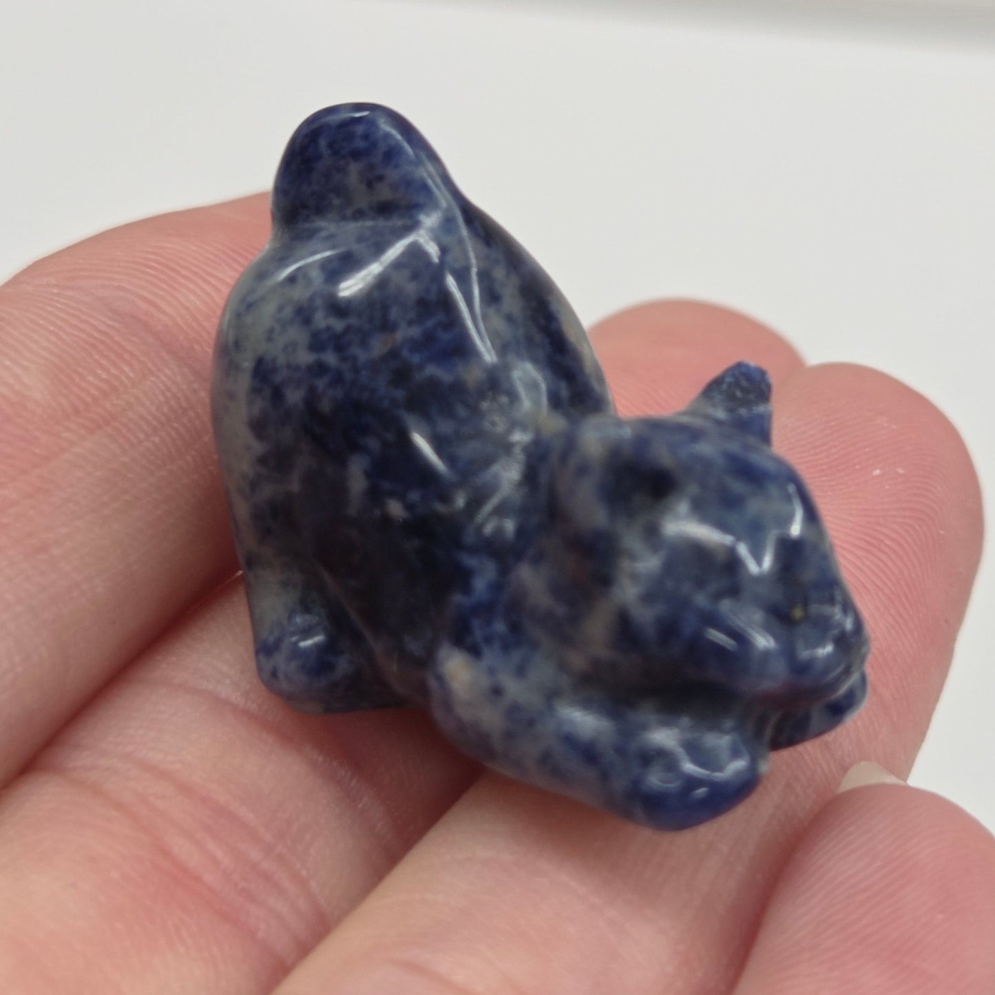 Cat/kitty carvings - playful (X-small)