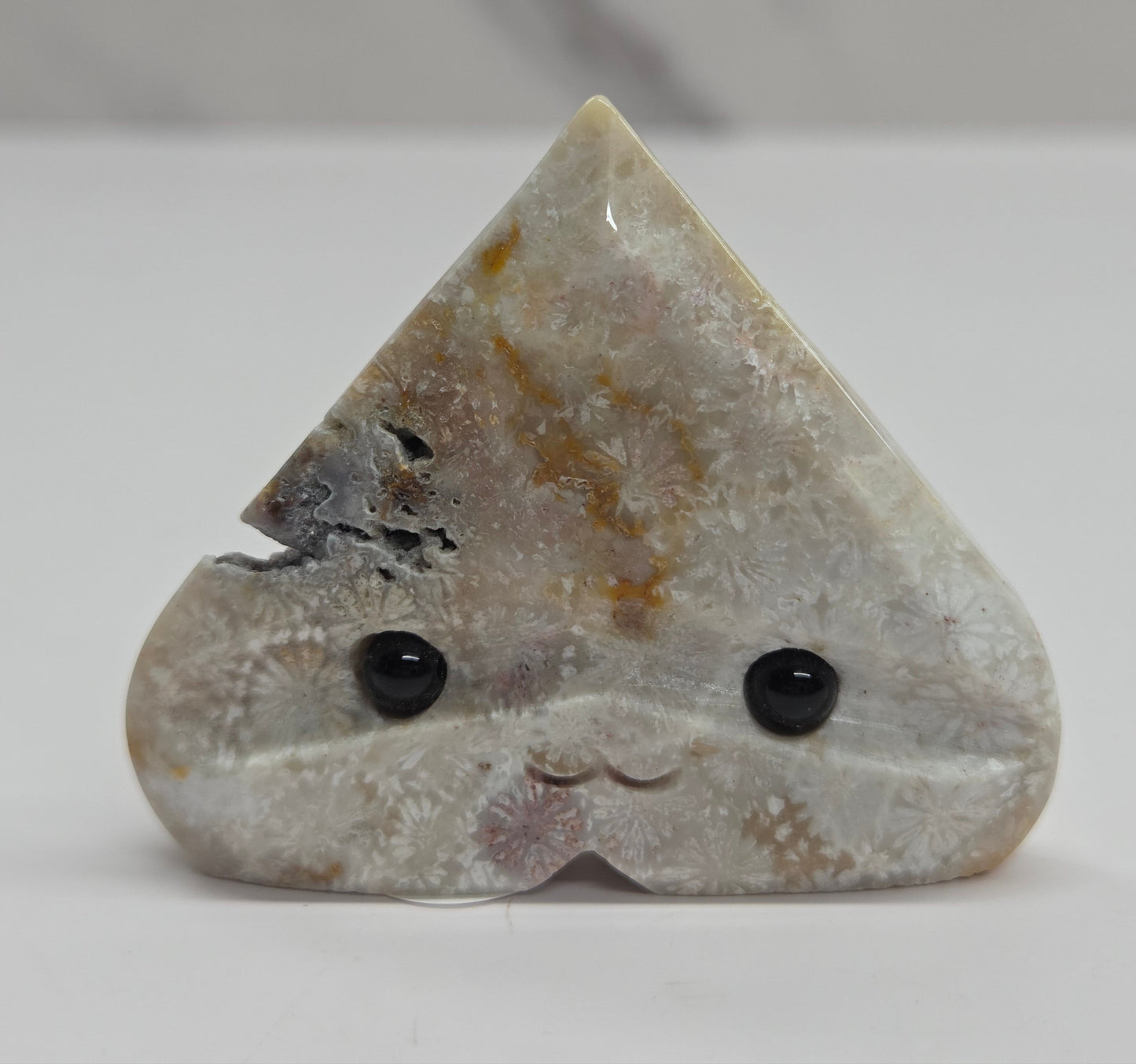 Hedgie - Fossil Coral
