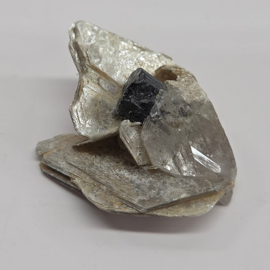 Mica w/ tourmaline specimen