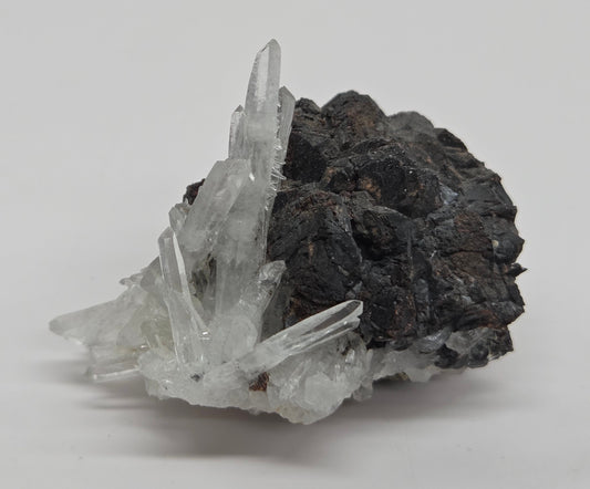 Tourmaline w/ Quartz specimen