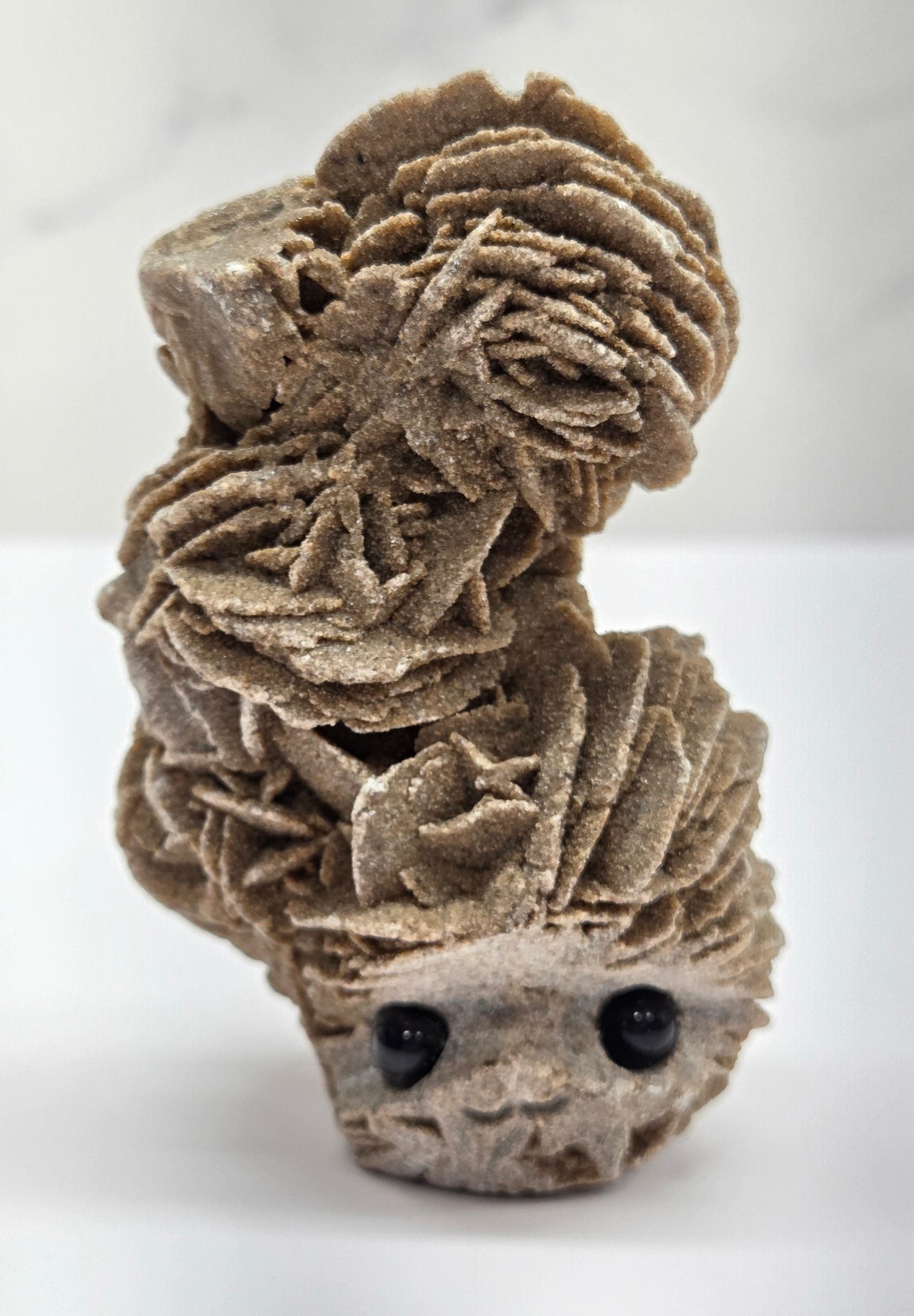 Hedgie - Desert Rose