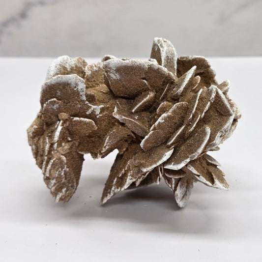 Desert Rose specimen