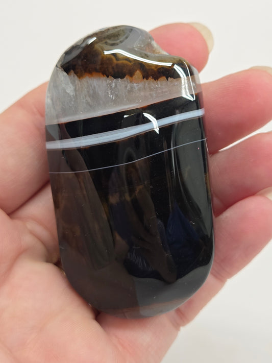 Palm - Sardonyx