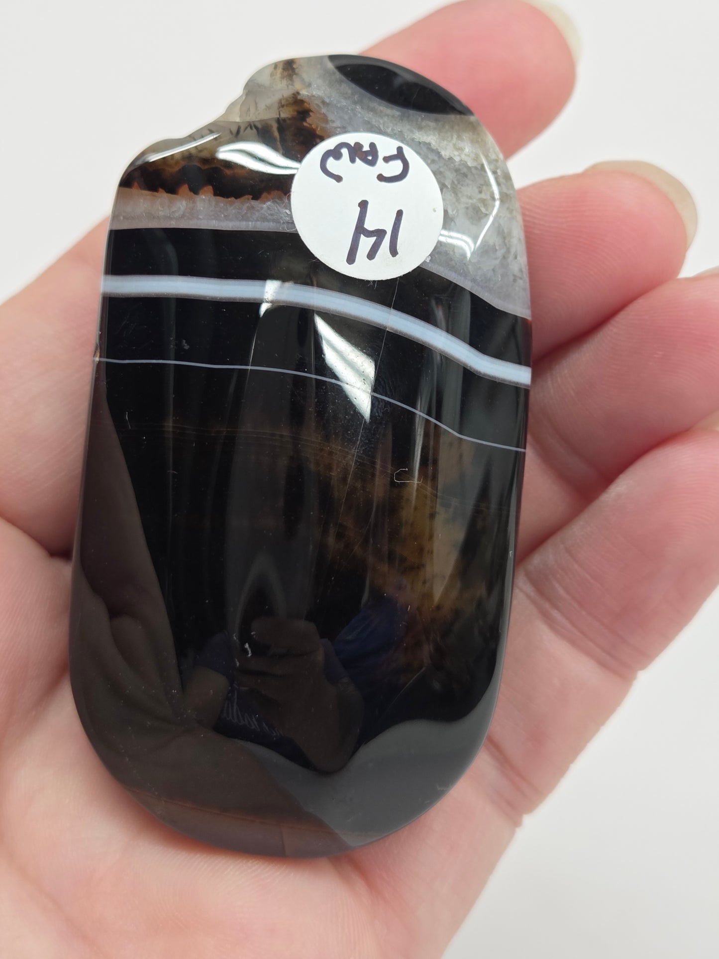 Palm - Sardonyx