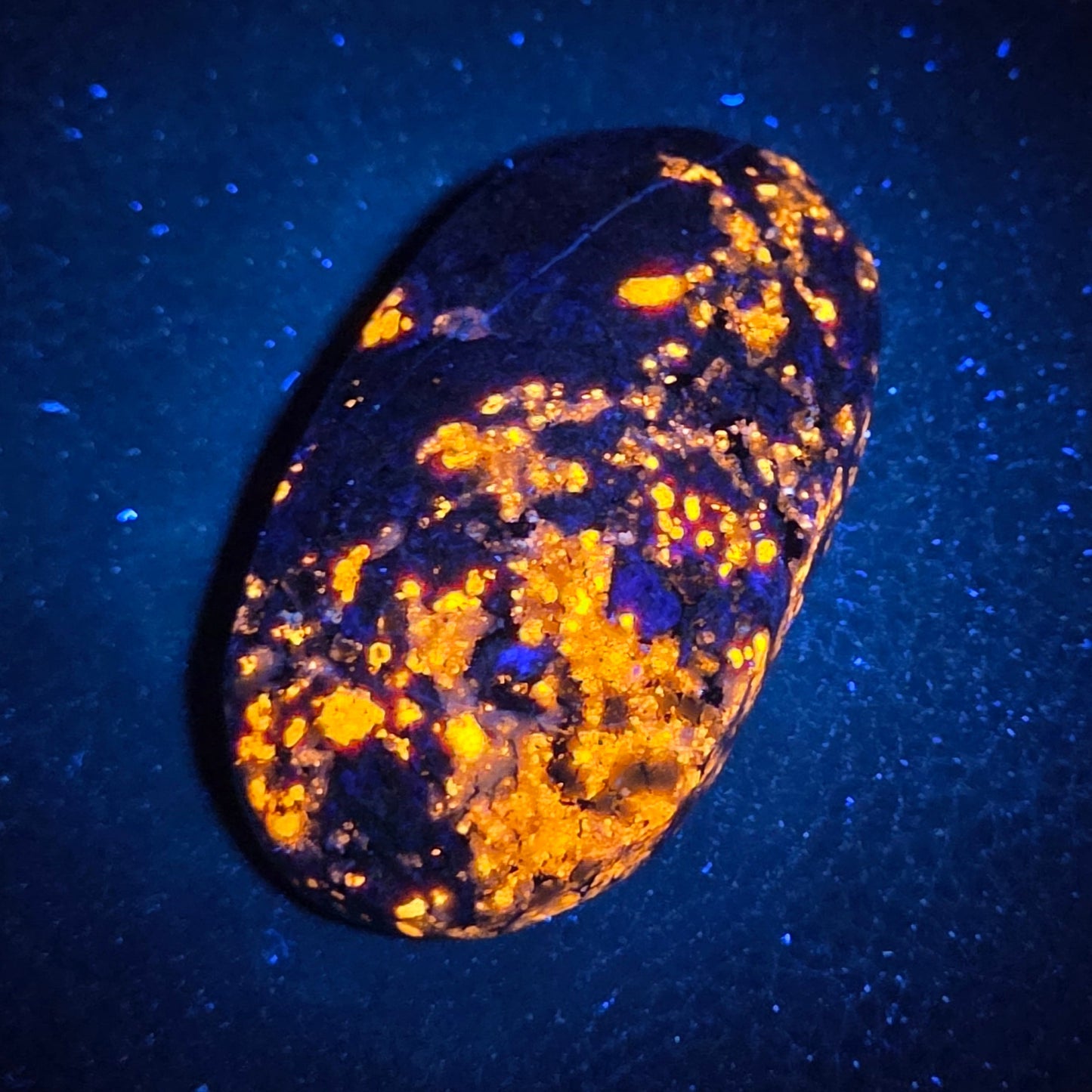Eudialyte palm