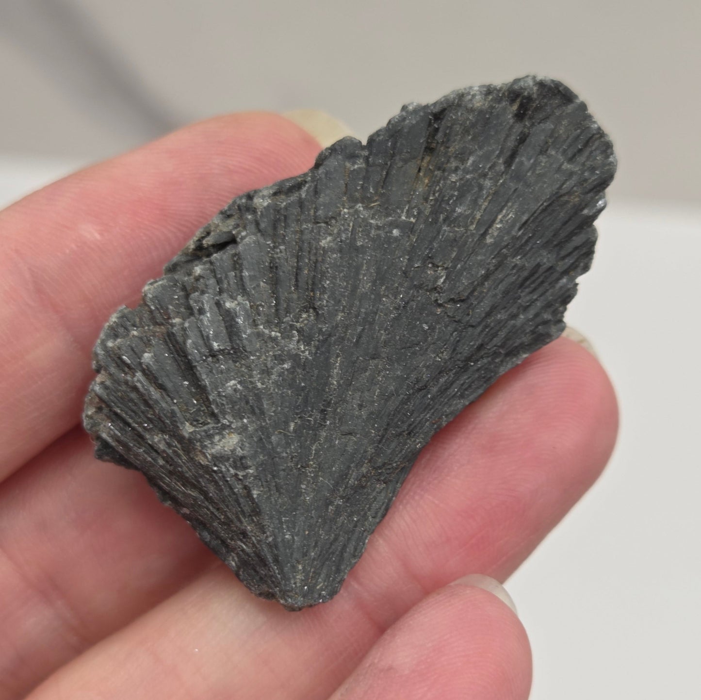 Black Kyanite