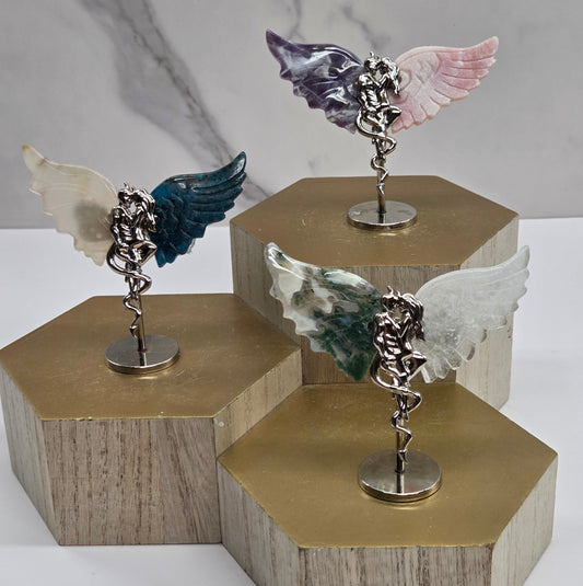 Wings - Devil & harpy (S)