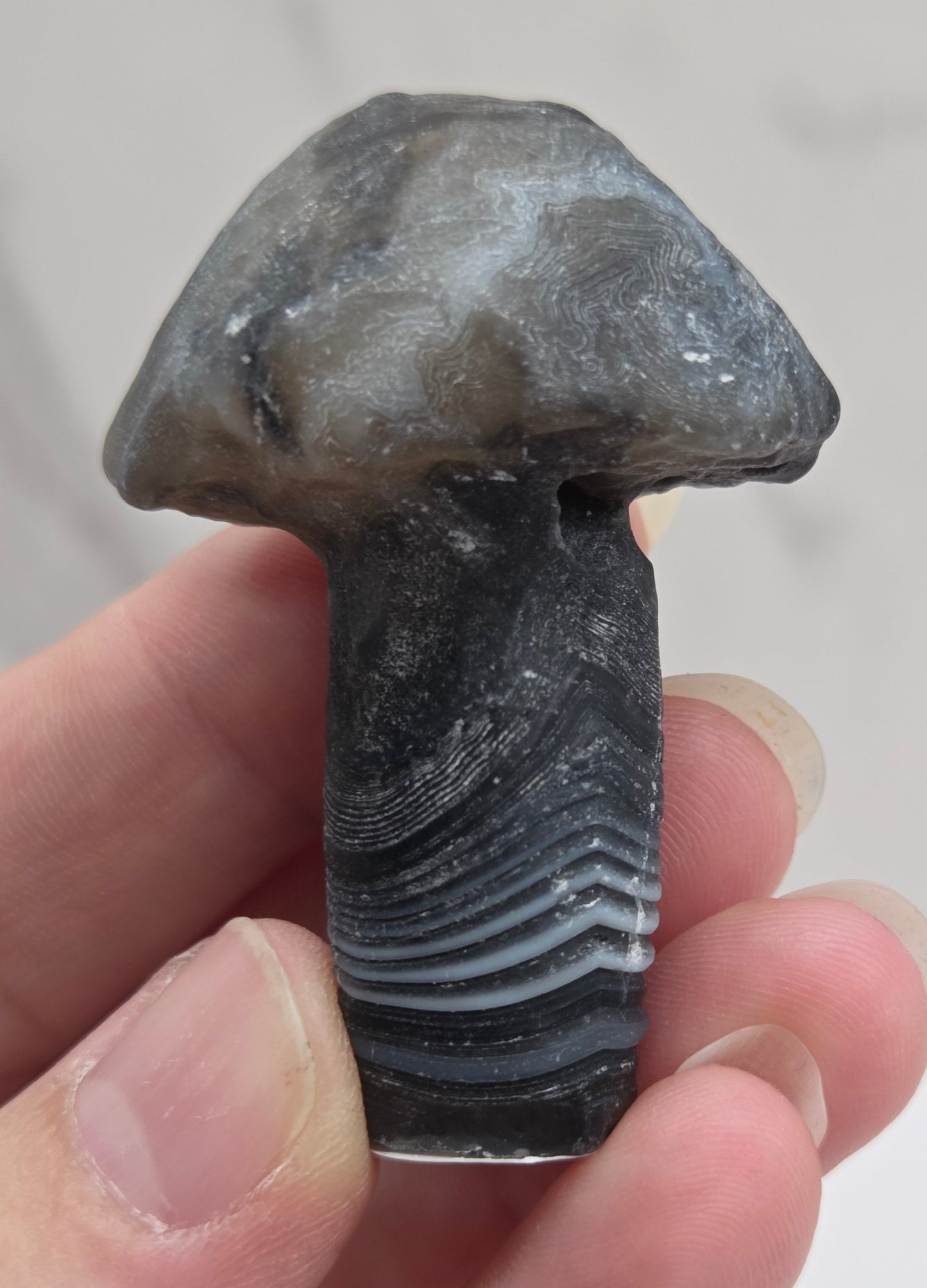 Gobi Agate mushroom carvings