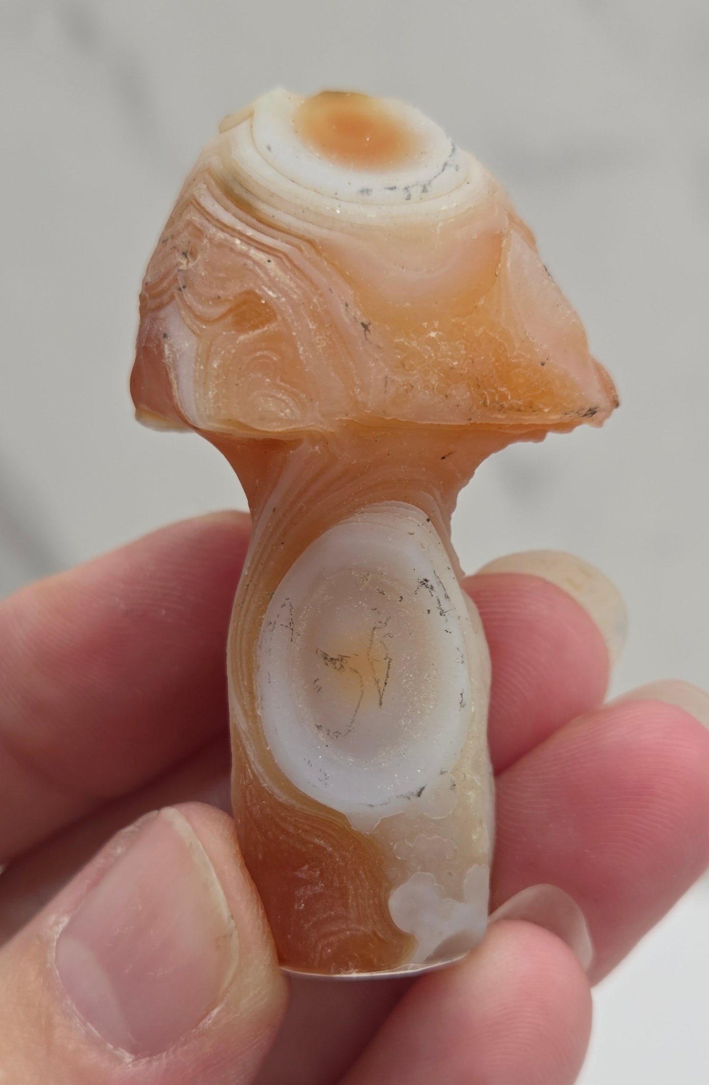 Gobi Agate mushroom carvings