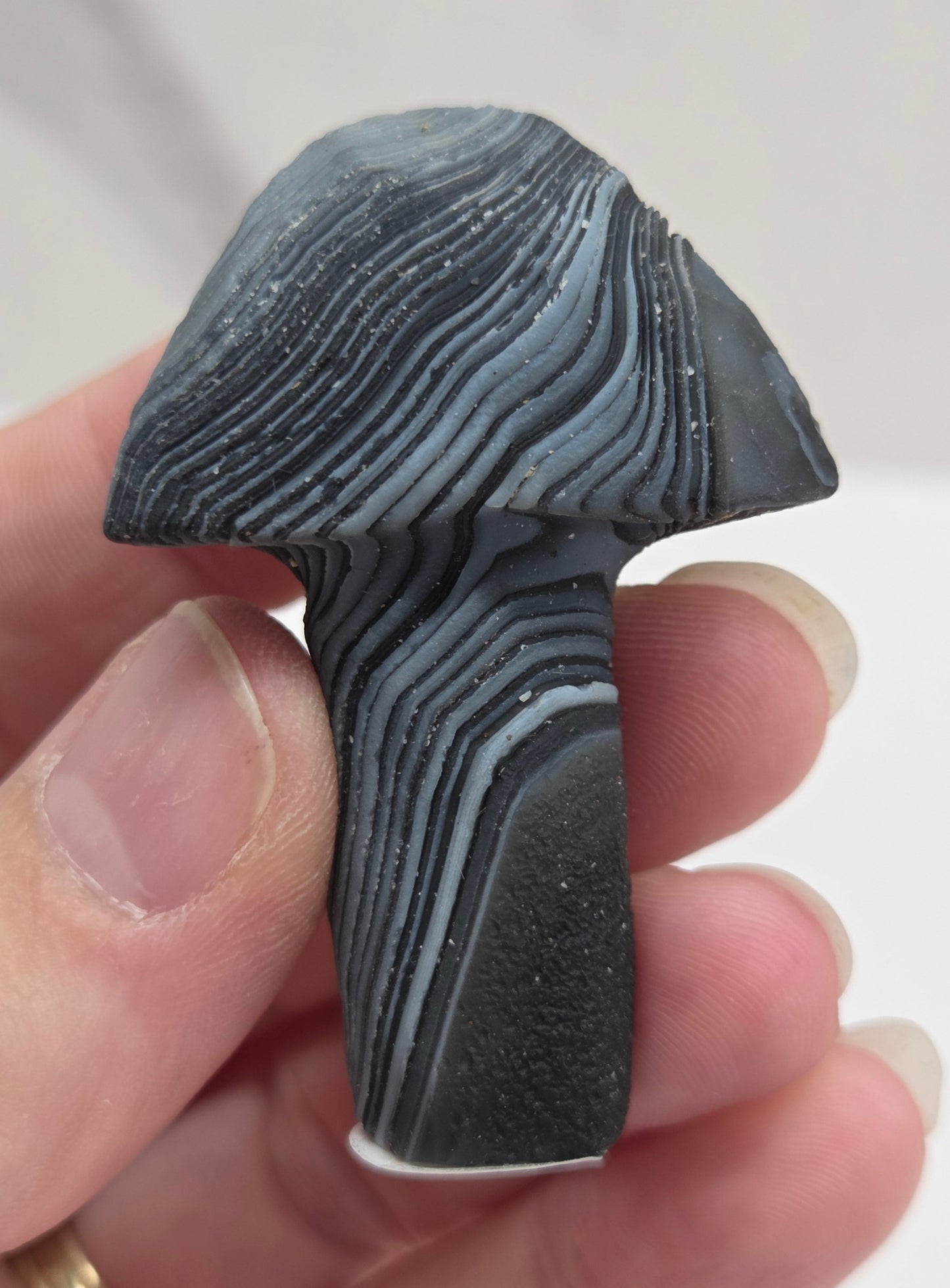 Gobi Agate mushroom carvings