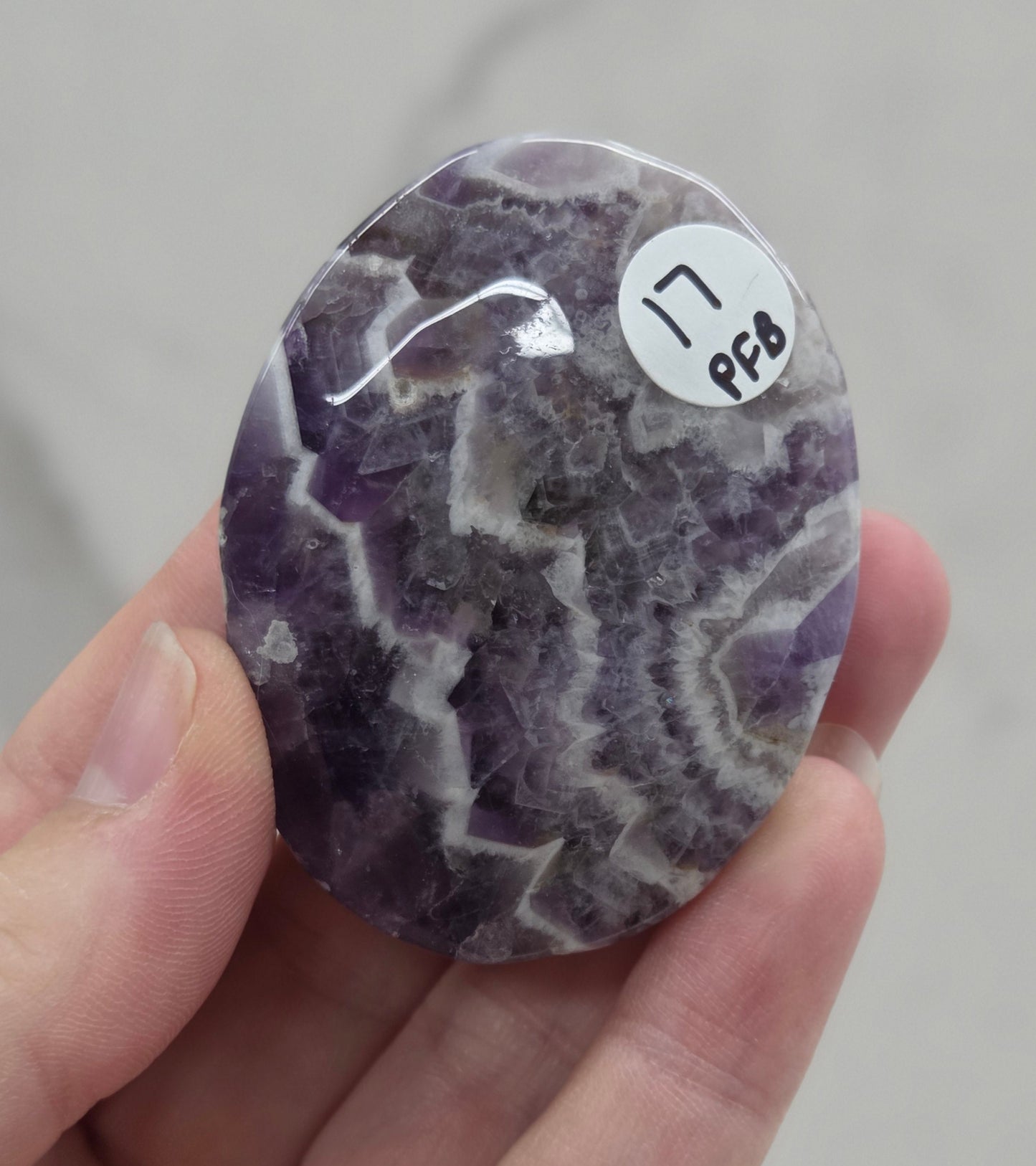 Palm - Dream Amethyst