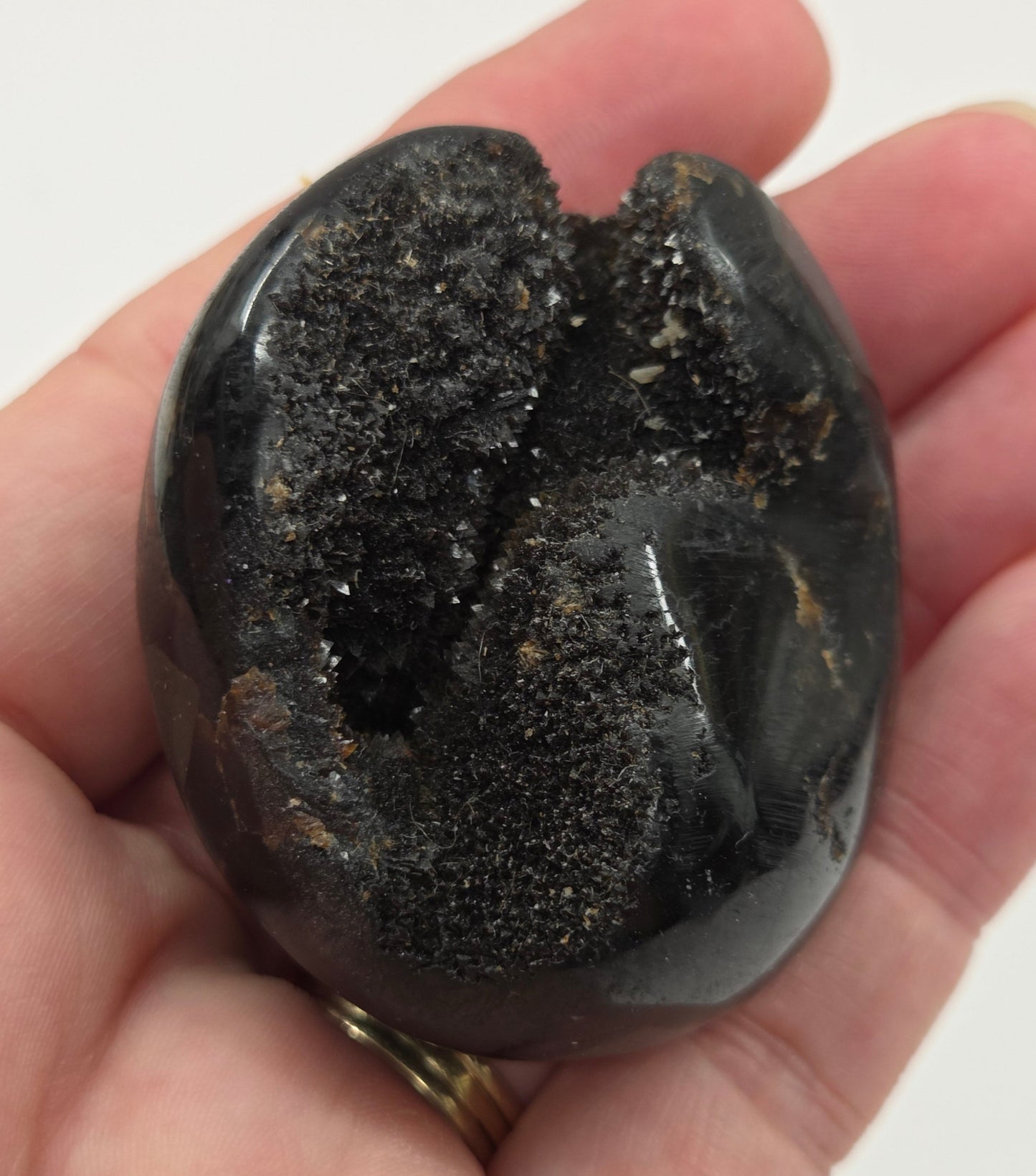 Septarian palm/freeform