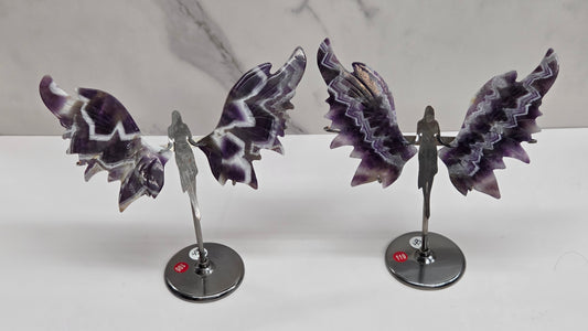 Wings - Dream Amethyst angel