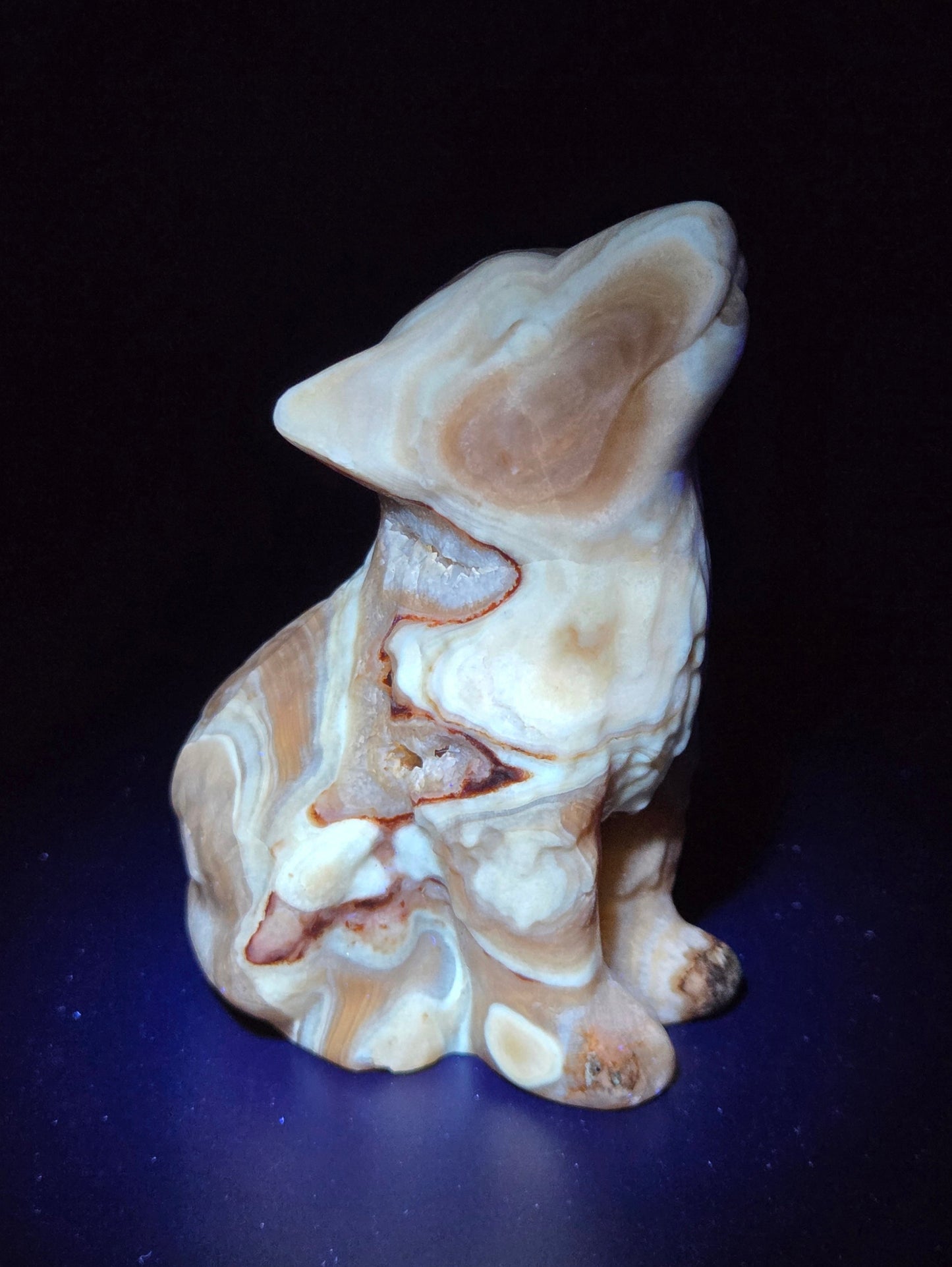 Wolf (M) - Amber Calcite