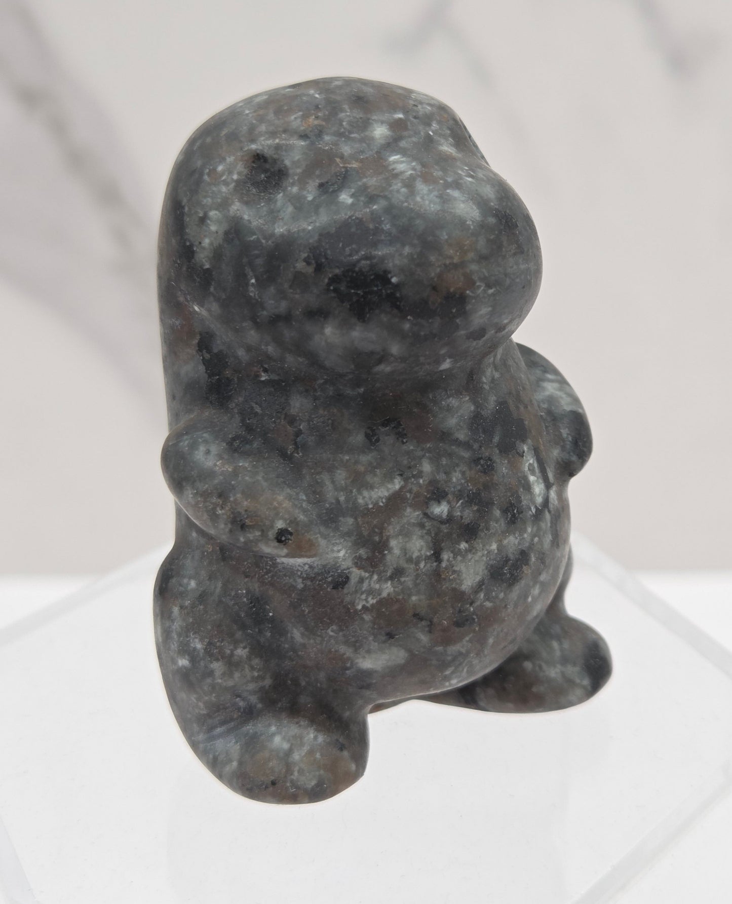 Chubby belly dinosaur (medium)