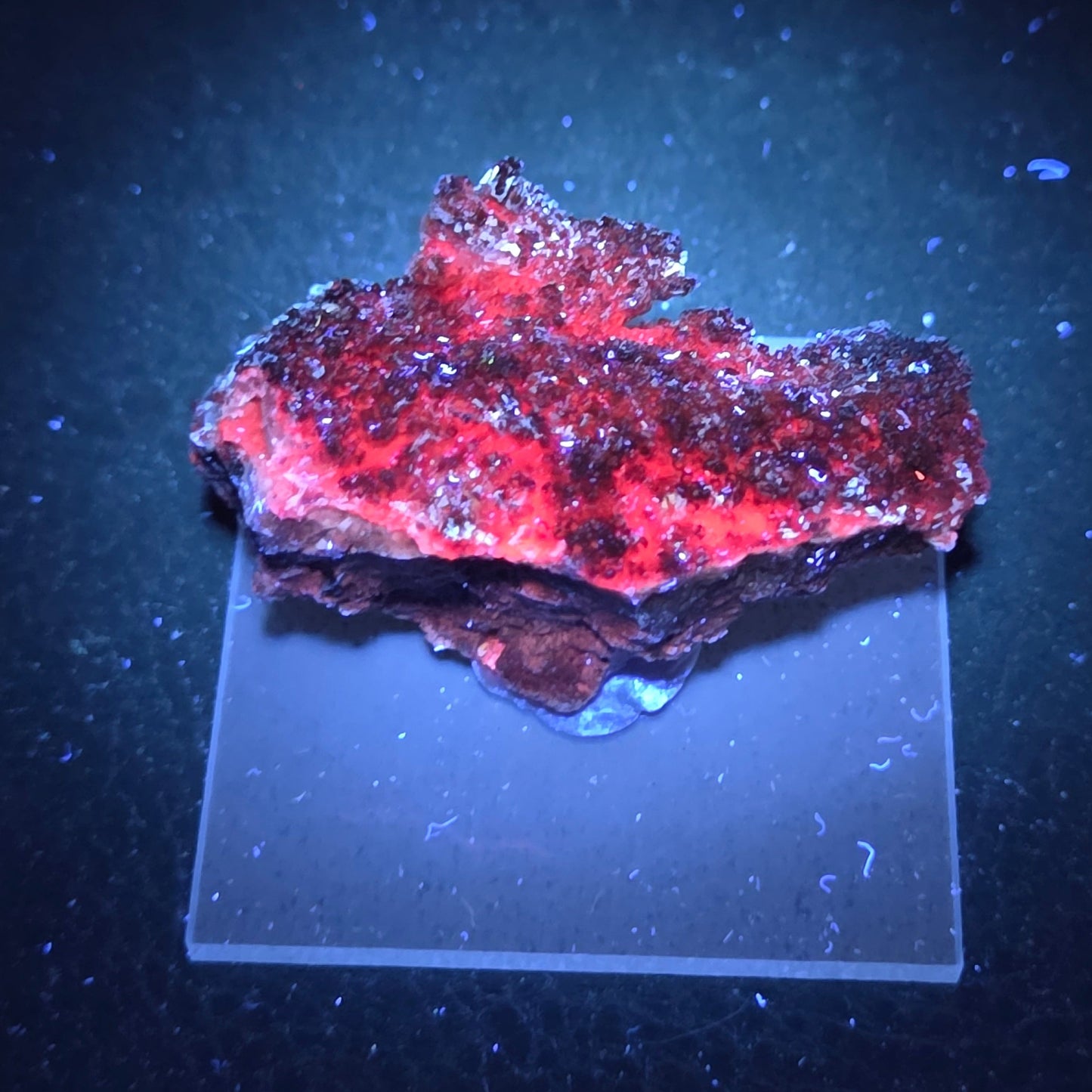 Potosi mine Fluorite