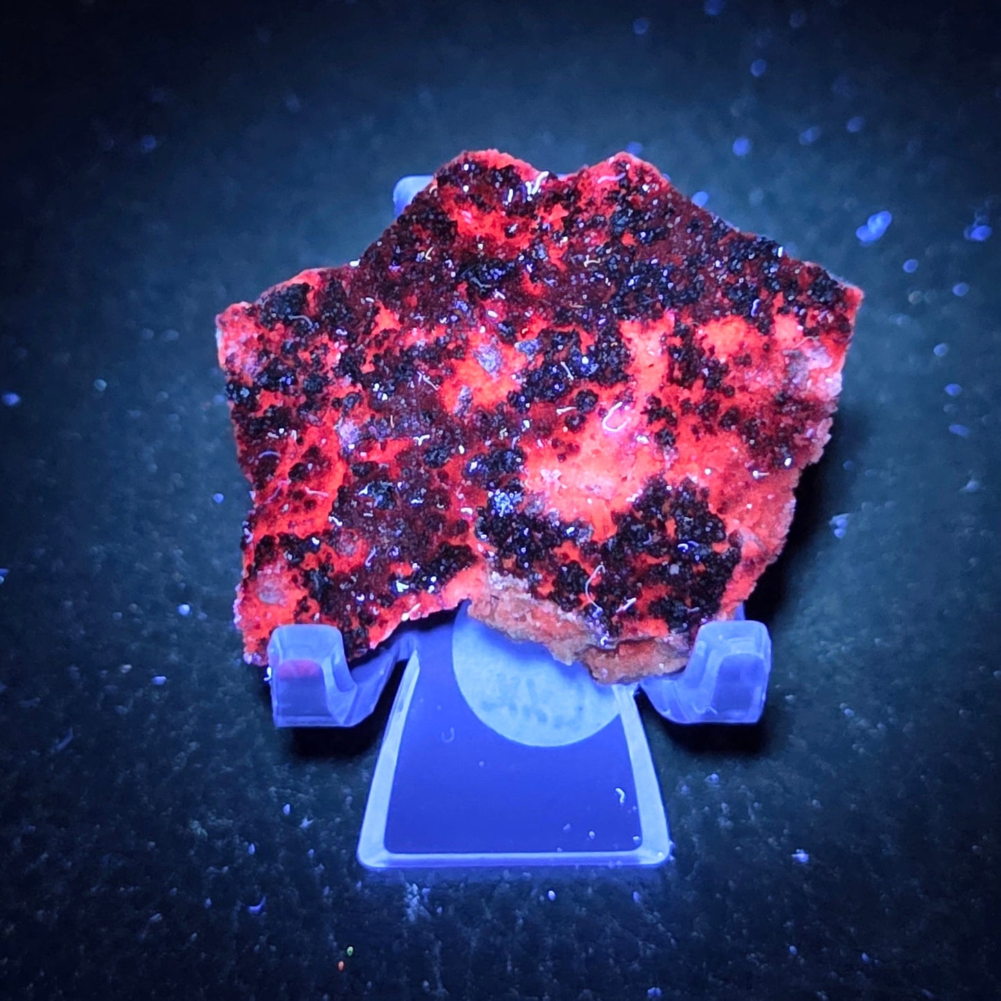 Potosi mine Fluorite