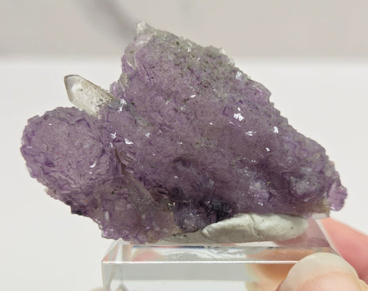 Quartz covered Fluorite - China