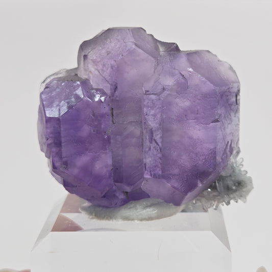 Tanzanite Fluorite - China
