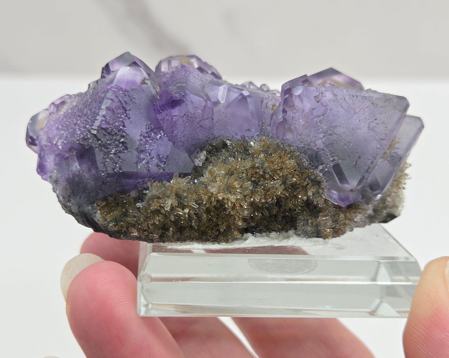 Tanzanite Fluorite - China