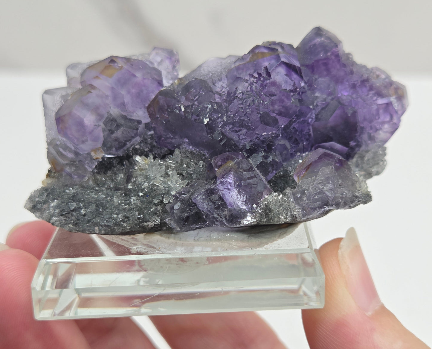 Tanzanite Fluorite - China