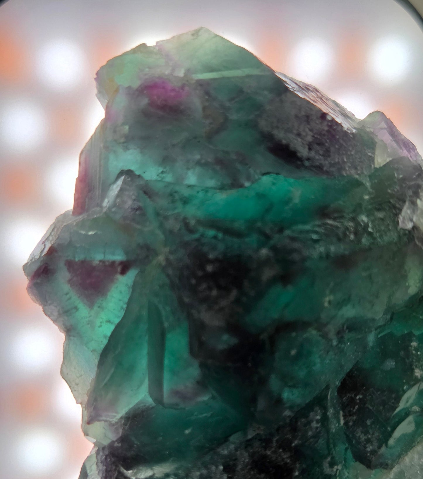 Okorusu Fluorite