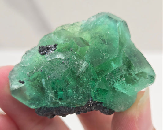 Okorusu Fluorite