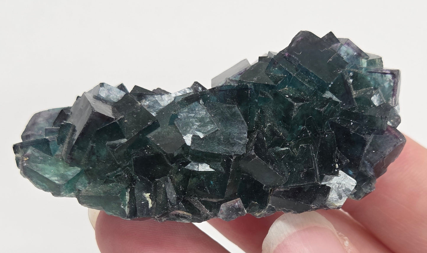 Okorusu Fluorite