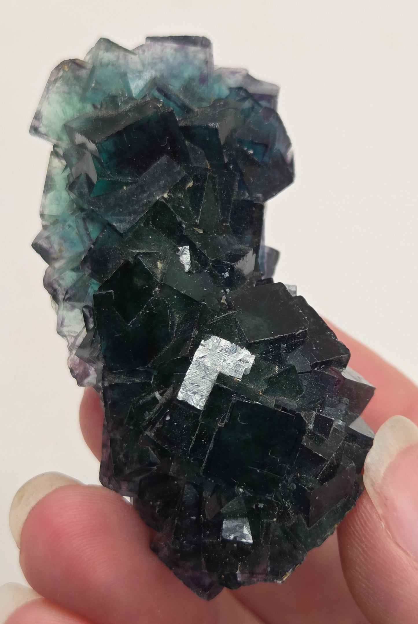Okorusu Fluorite