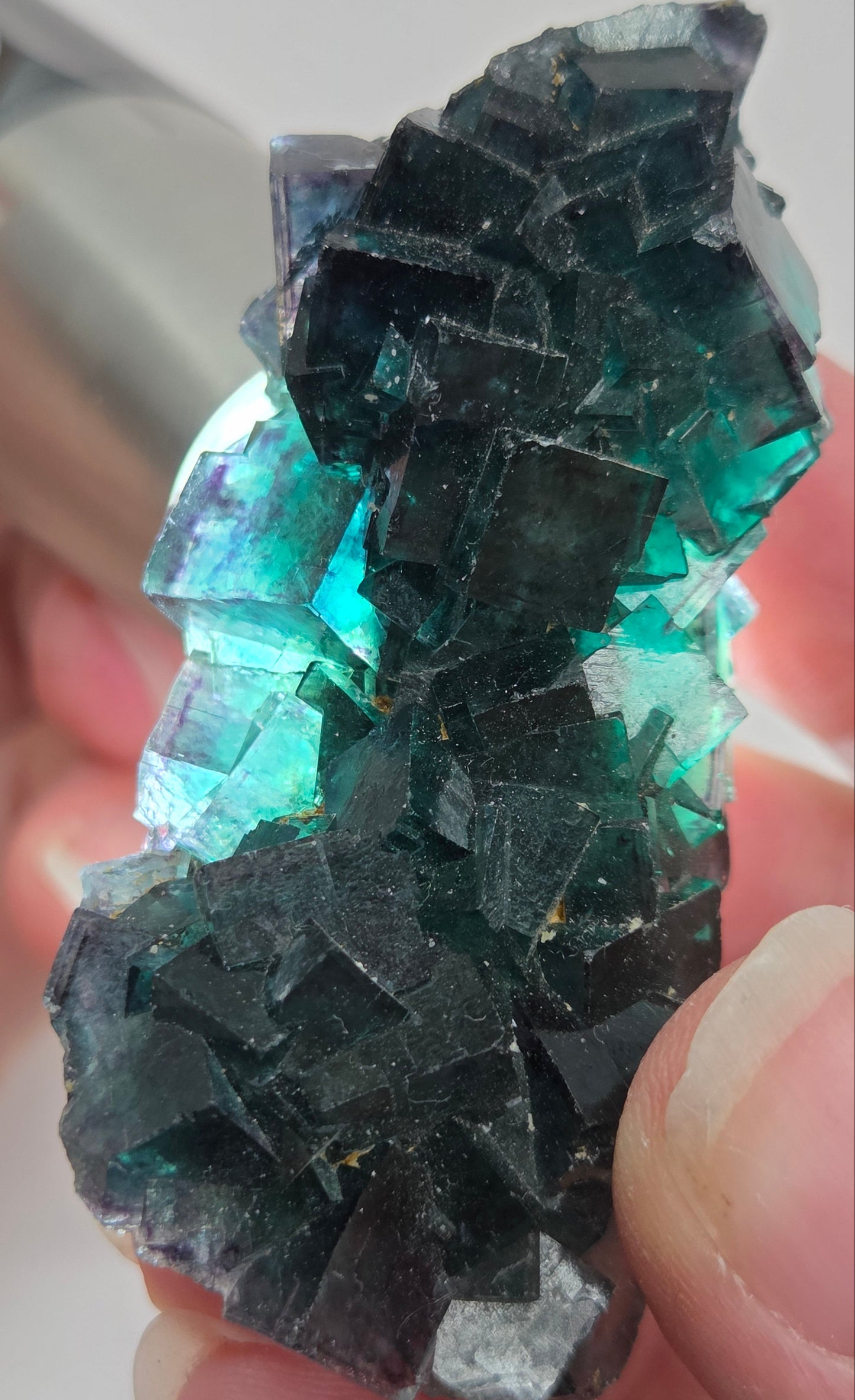Okorusu Fluorite