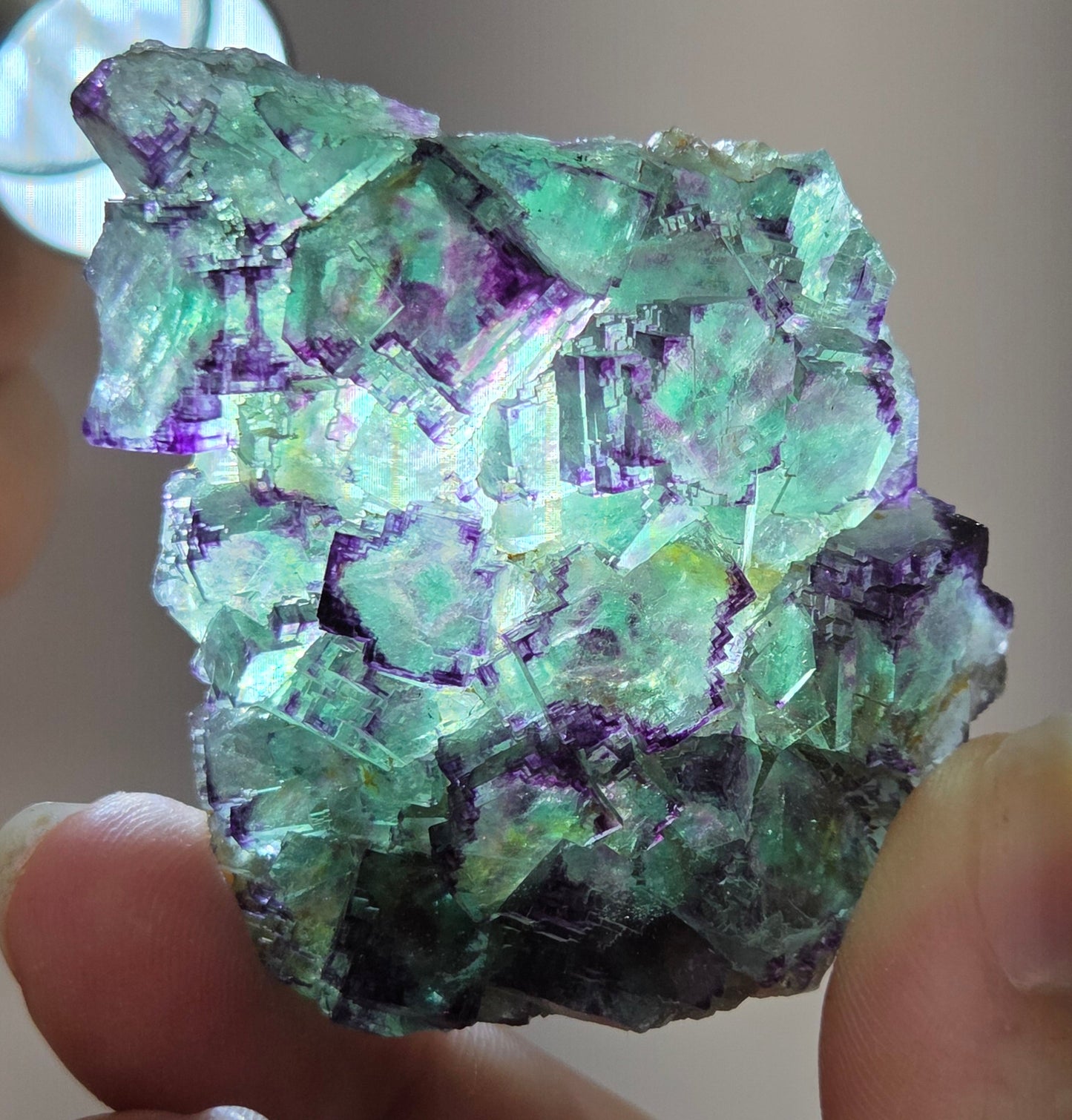 Okorusu Fluorite