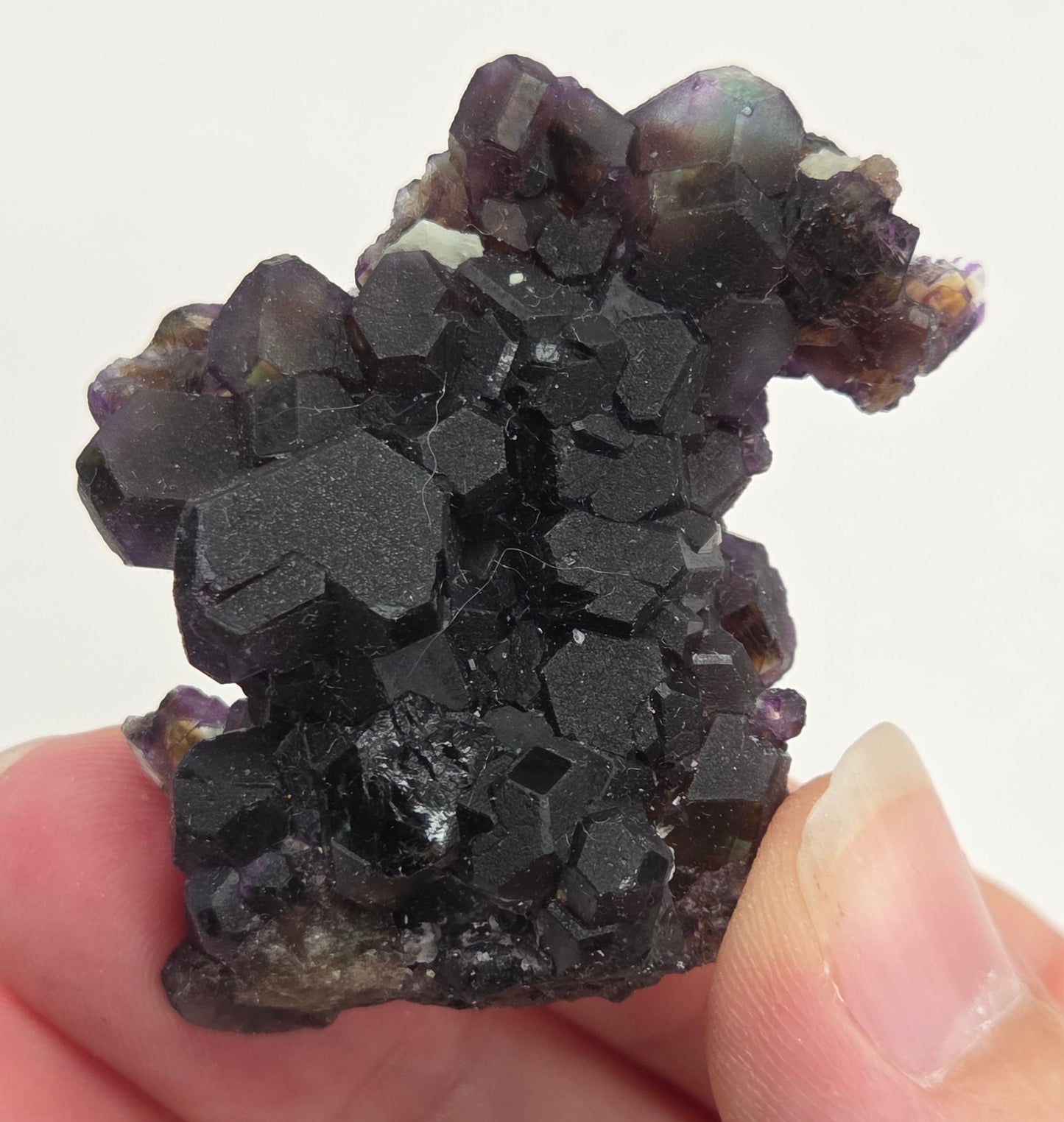 Erongo Fluorite