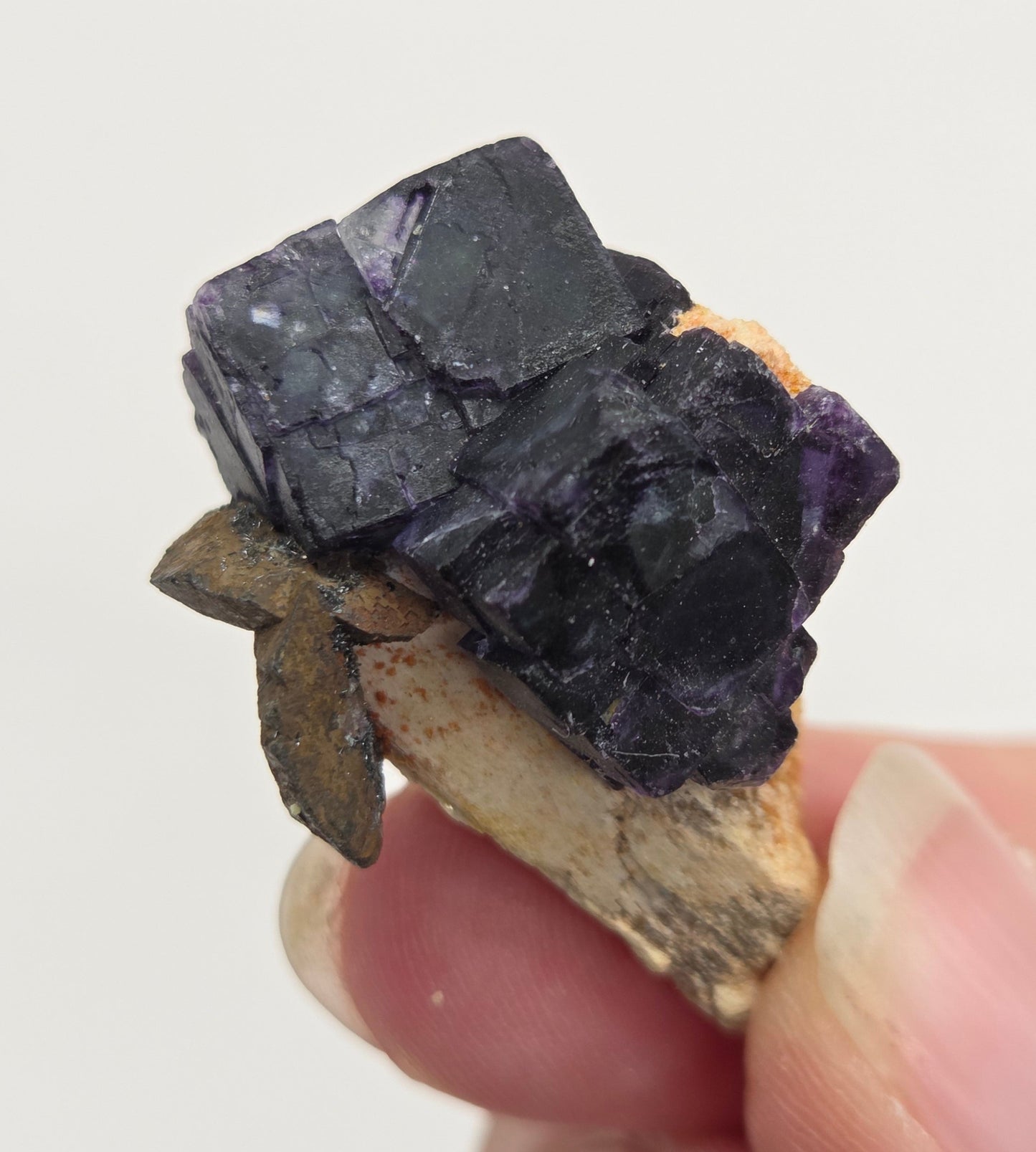Erongo Fluorite
