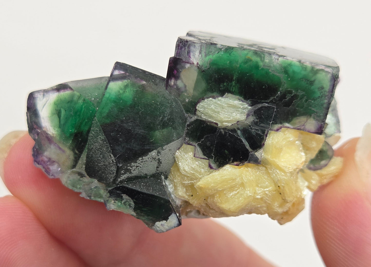 Erongo Fluorite