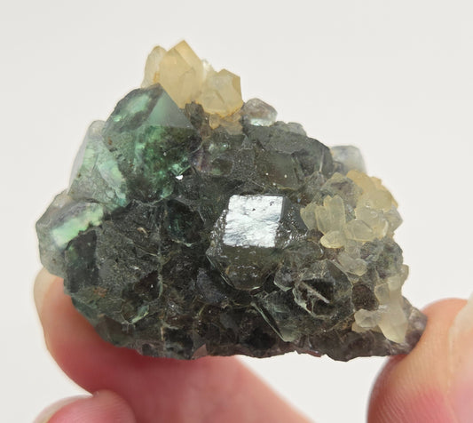 Okorusu Fluorite