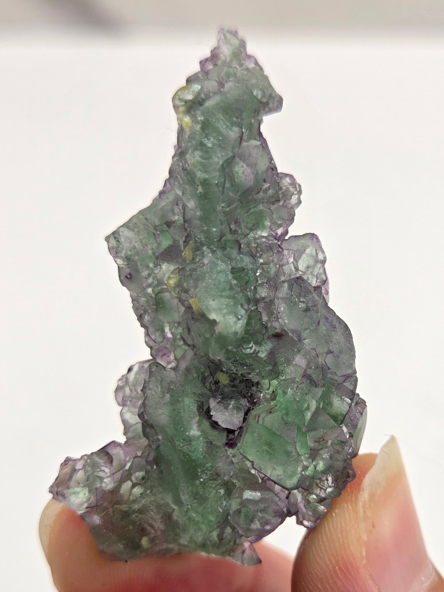 Okorusu Fluorite
