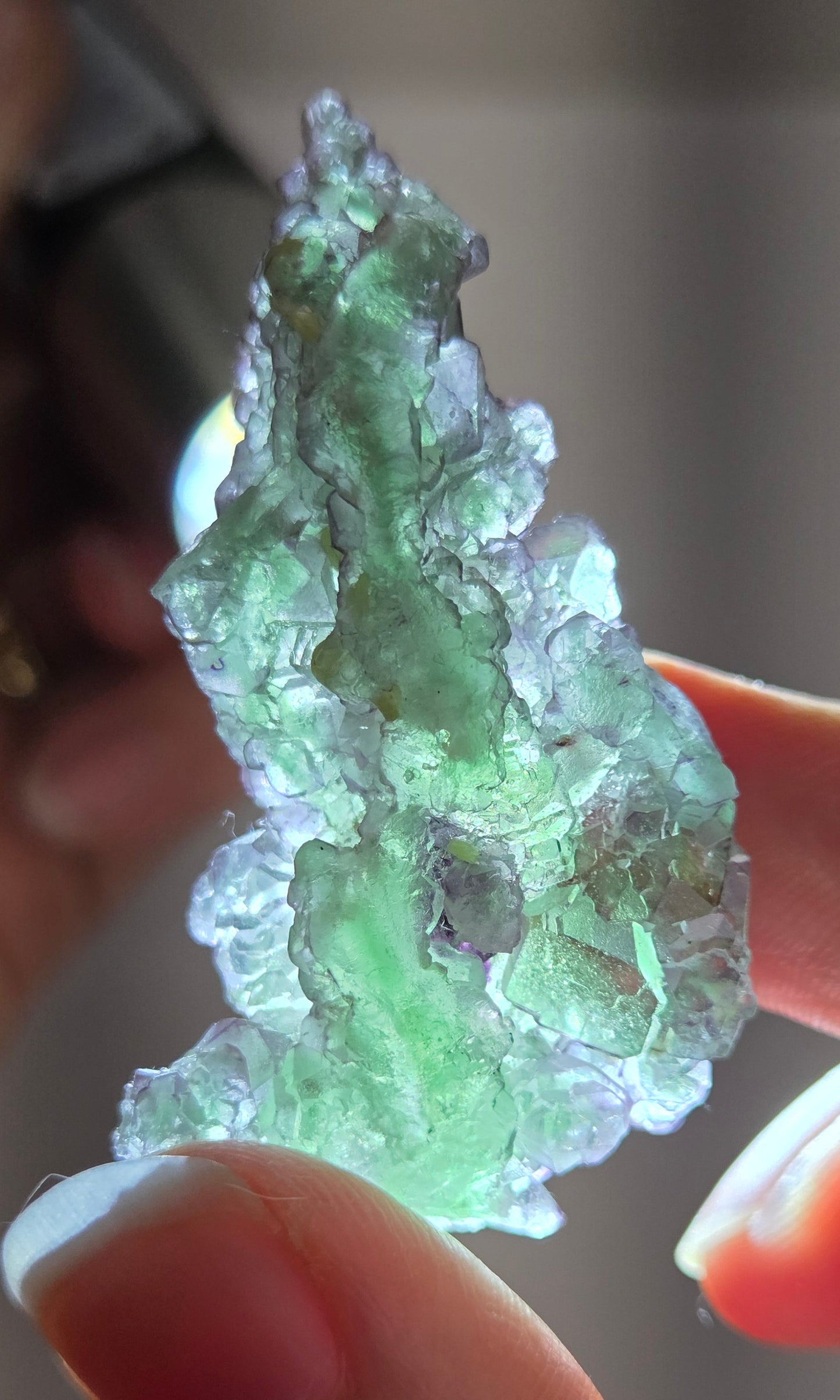 Okorusu Fluorite