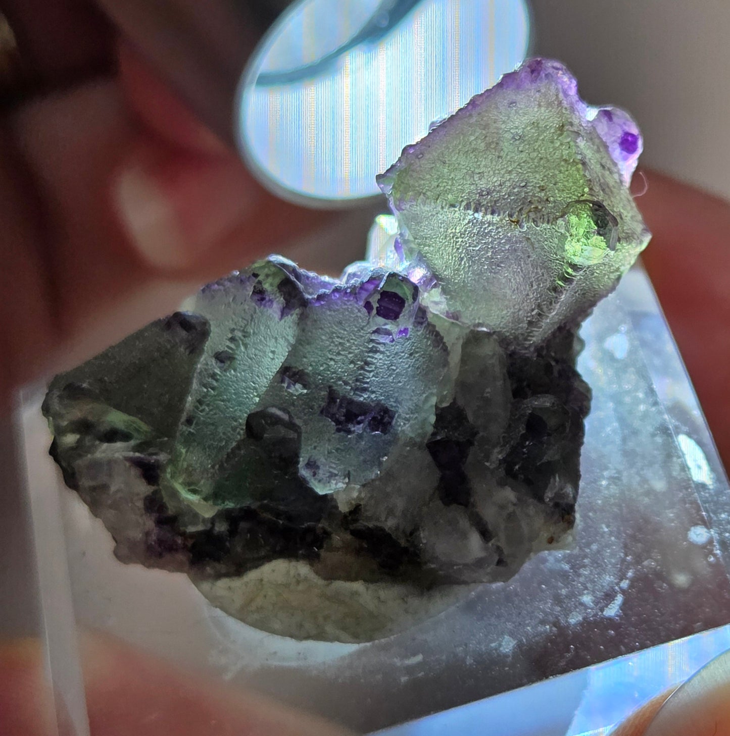 Octahedral Fluorite
