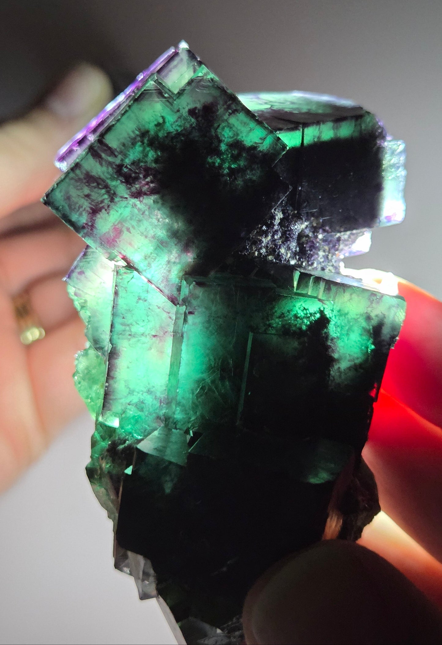 Okorusu Fluorite - Tie Dyed Pocket