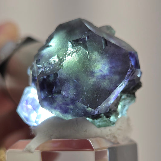 Erongo Fluorite