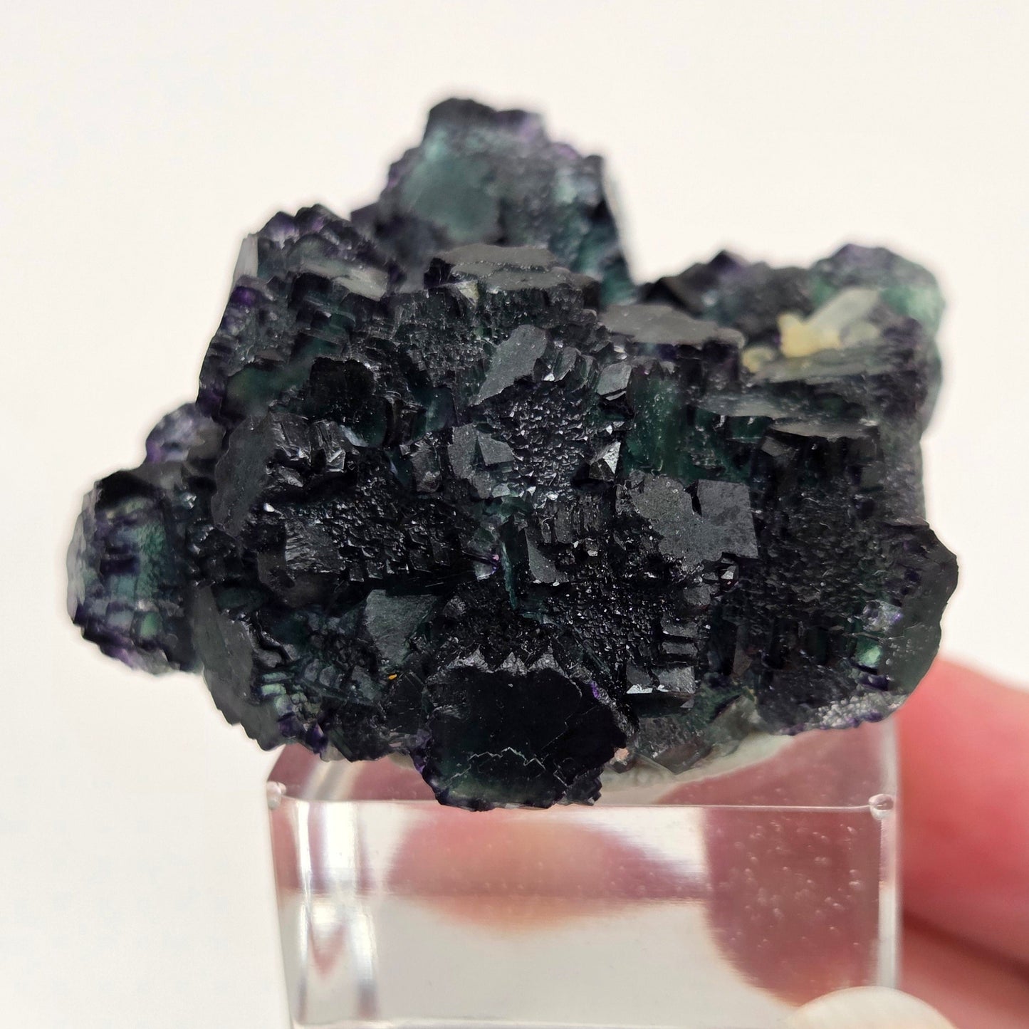 Okorusu Fluorite