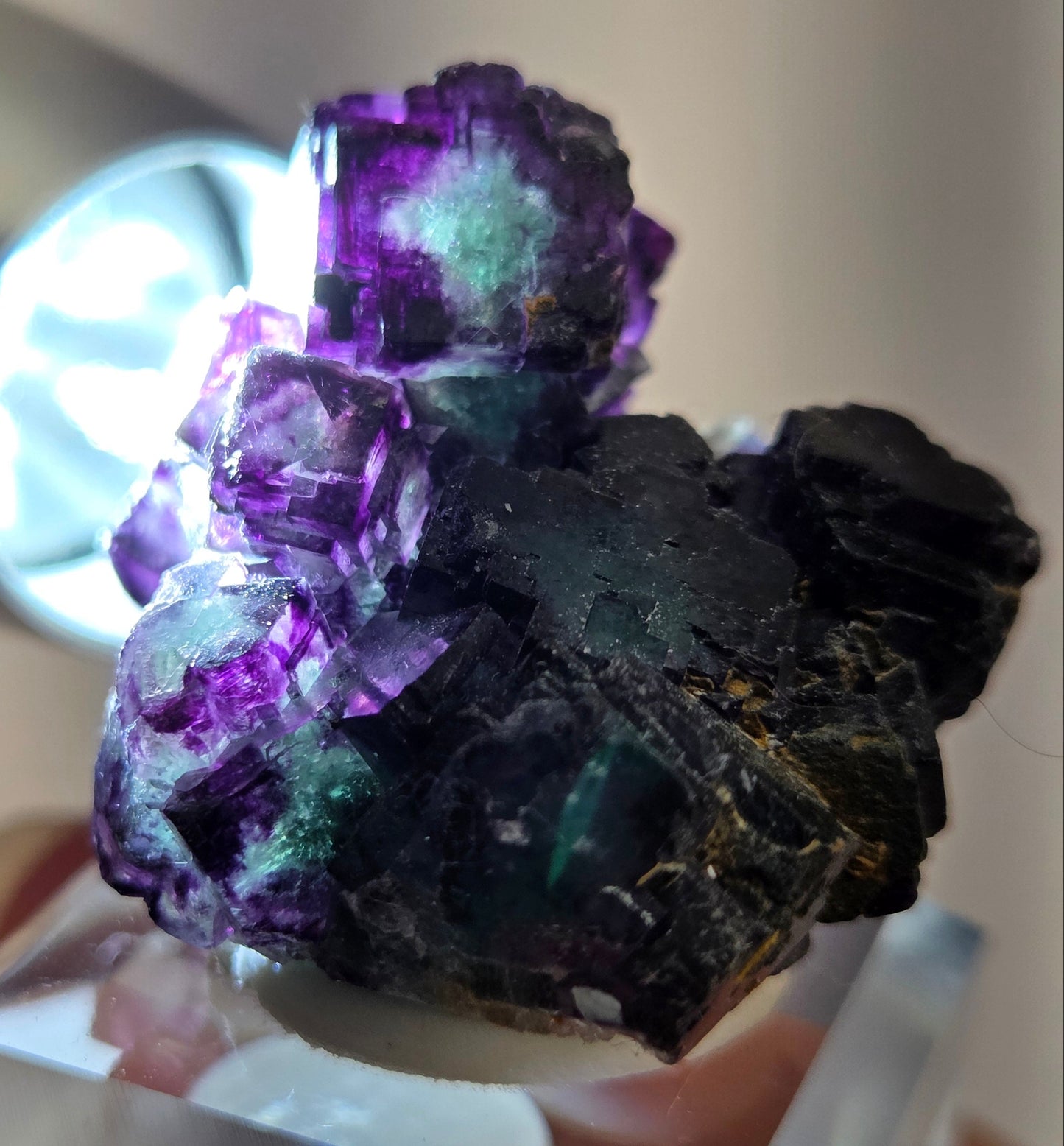 Okorusu Fluorite