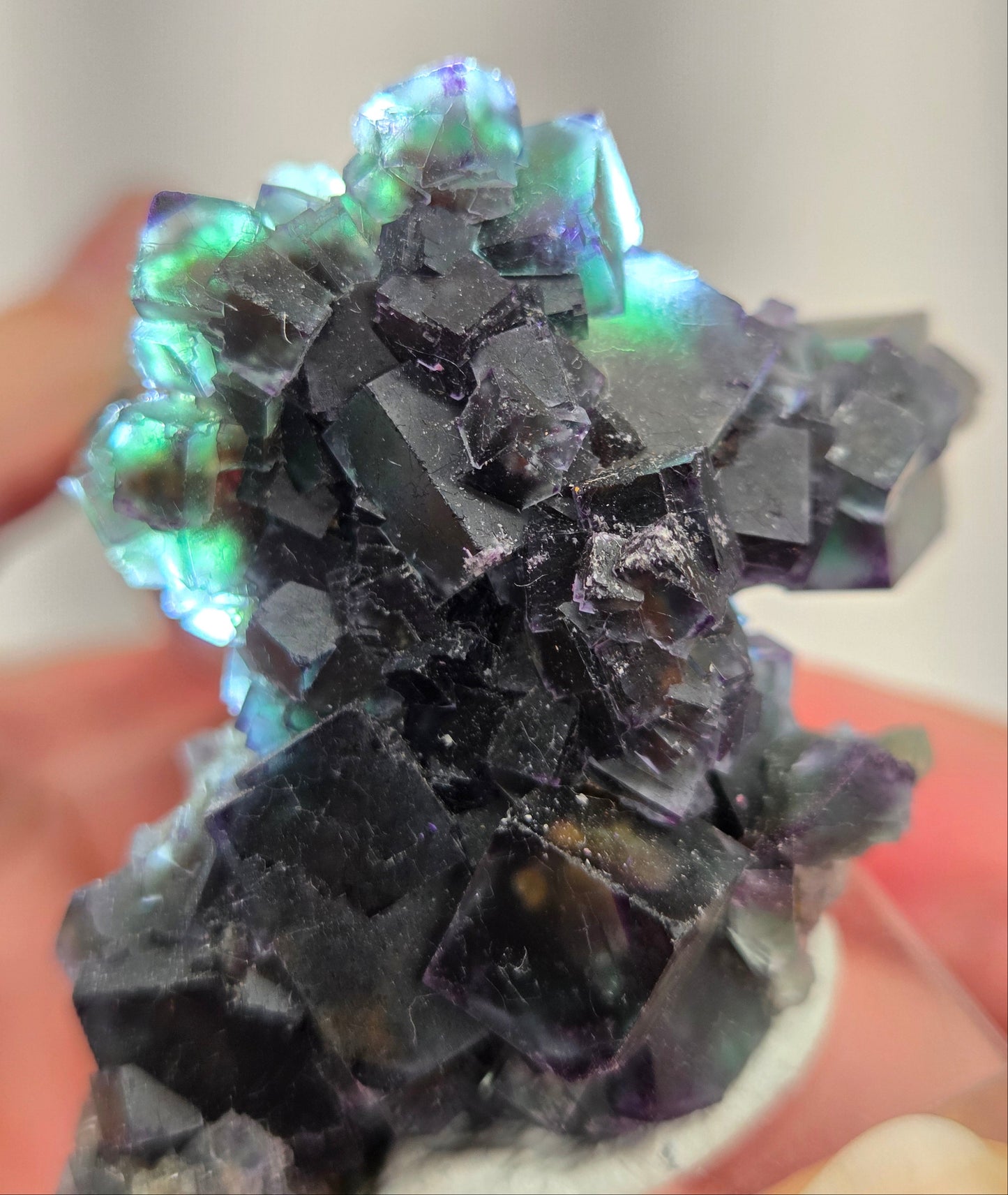 Erongo Fluorite