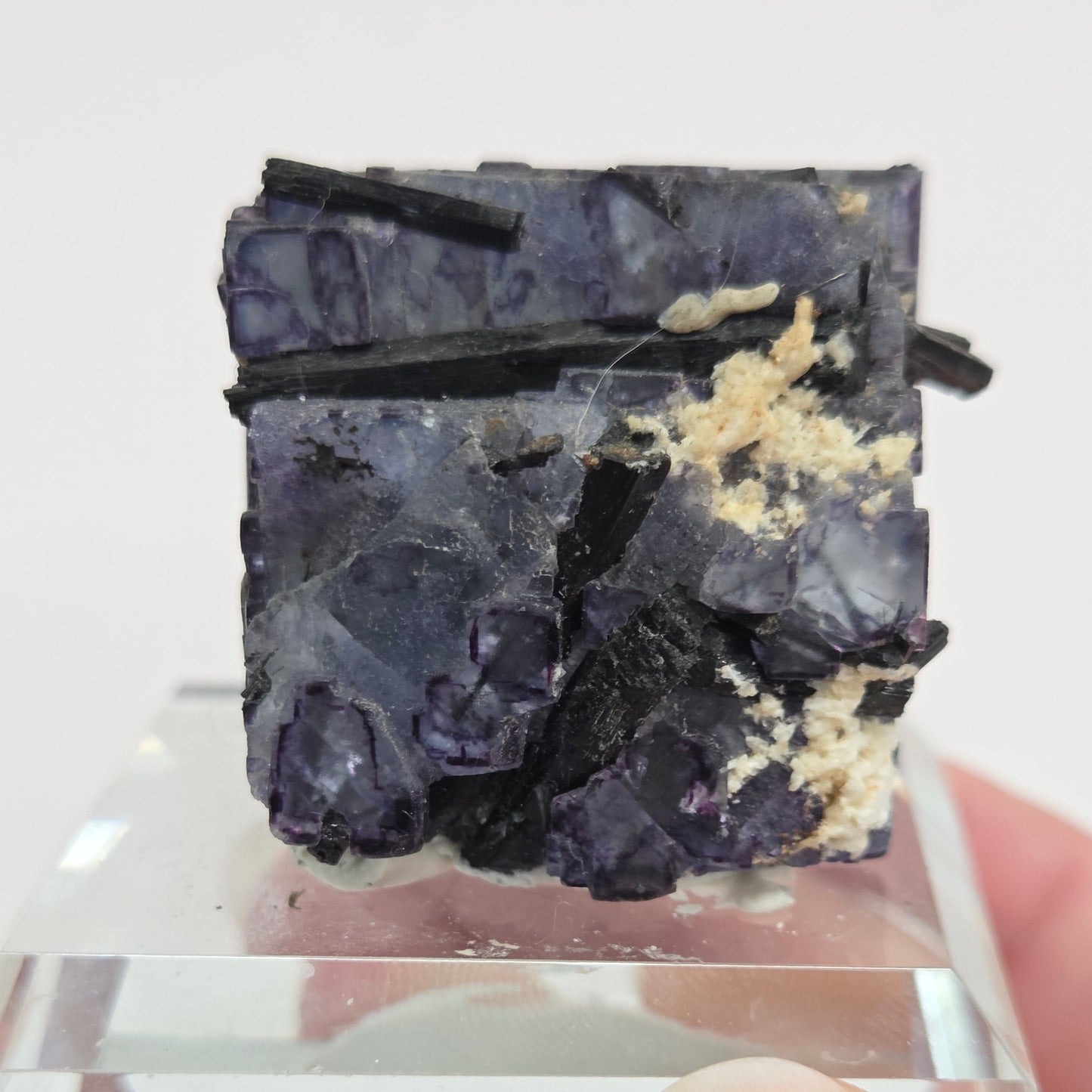 Erongo Fluorite w/ Black Schorl