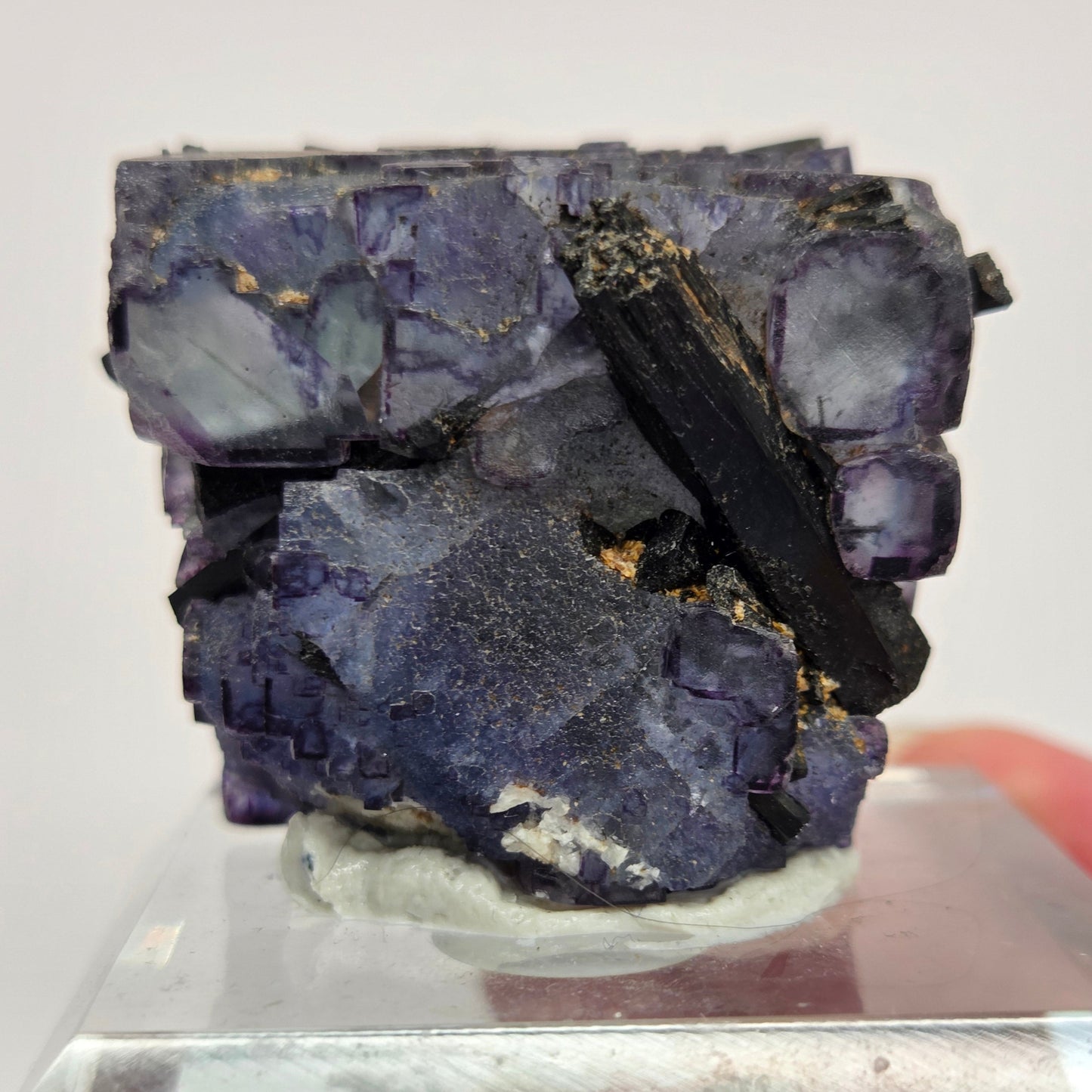 Erongo Fluorite w/ Black Schorl