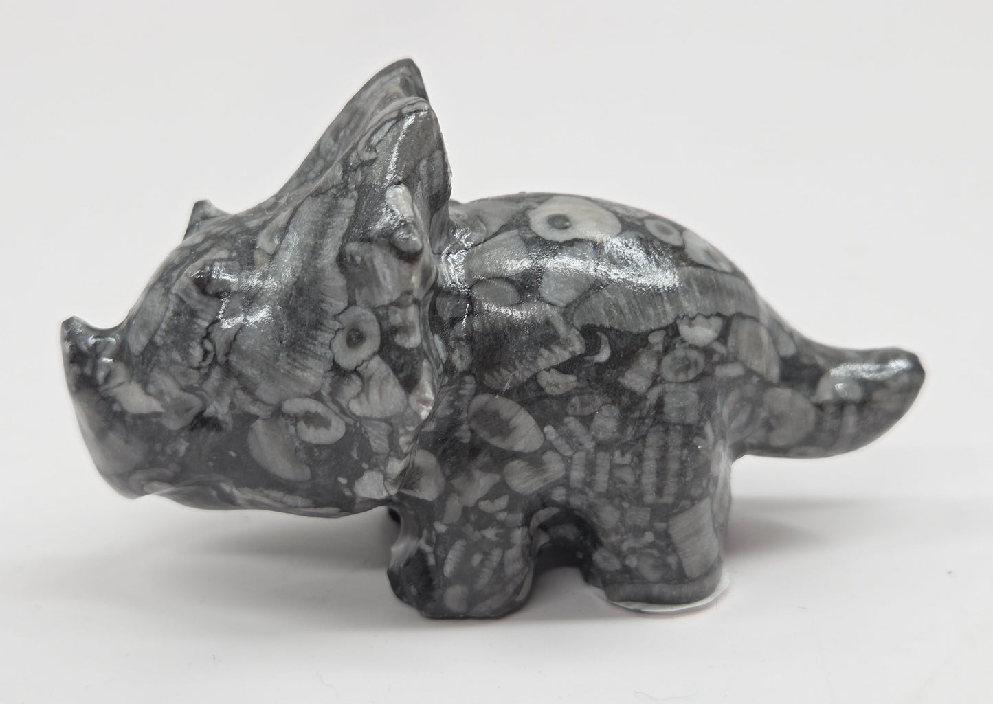 Triceratops carving (L)